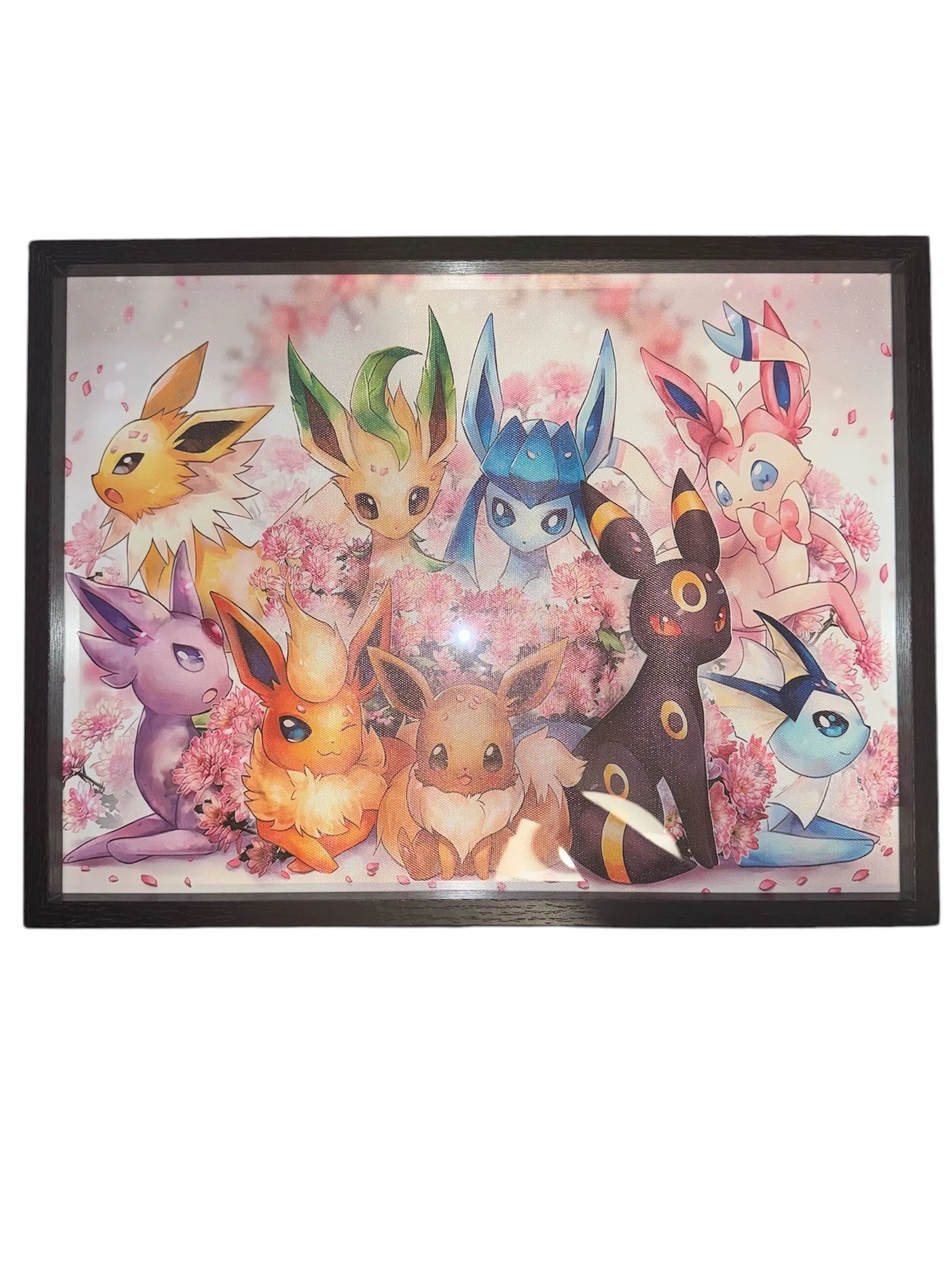 Product image for Cadre 40x30 Évolution Pokémon