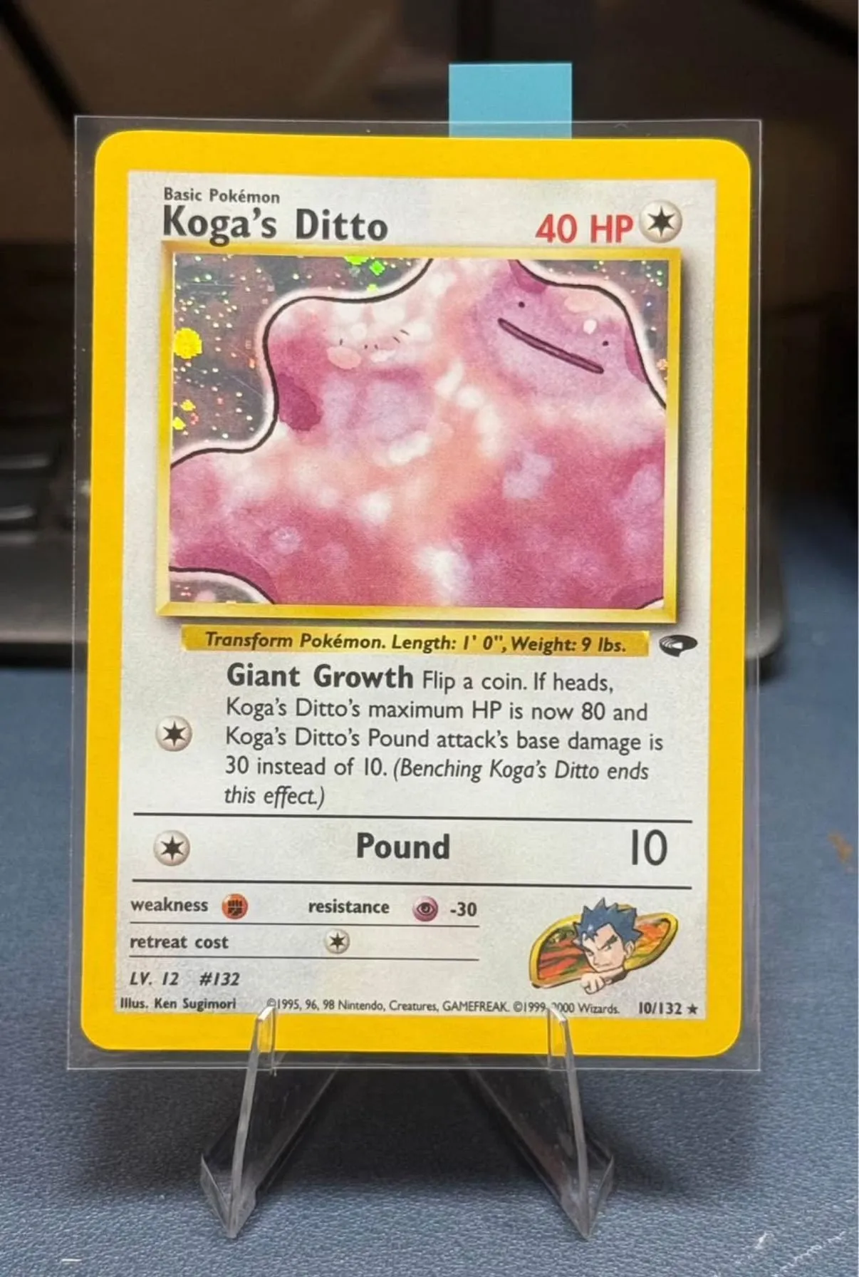walmart com pokemon cards The Pokemon Card $1000 Box! - Assorted Pokémon Trading Cards