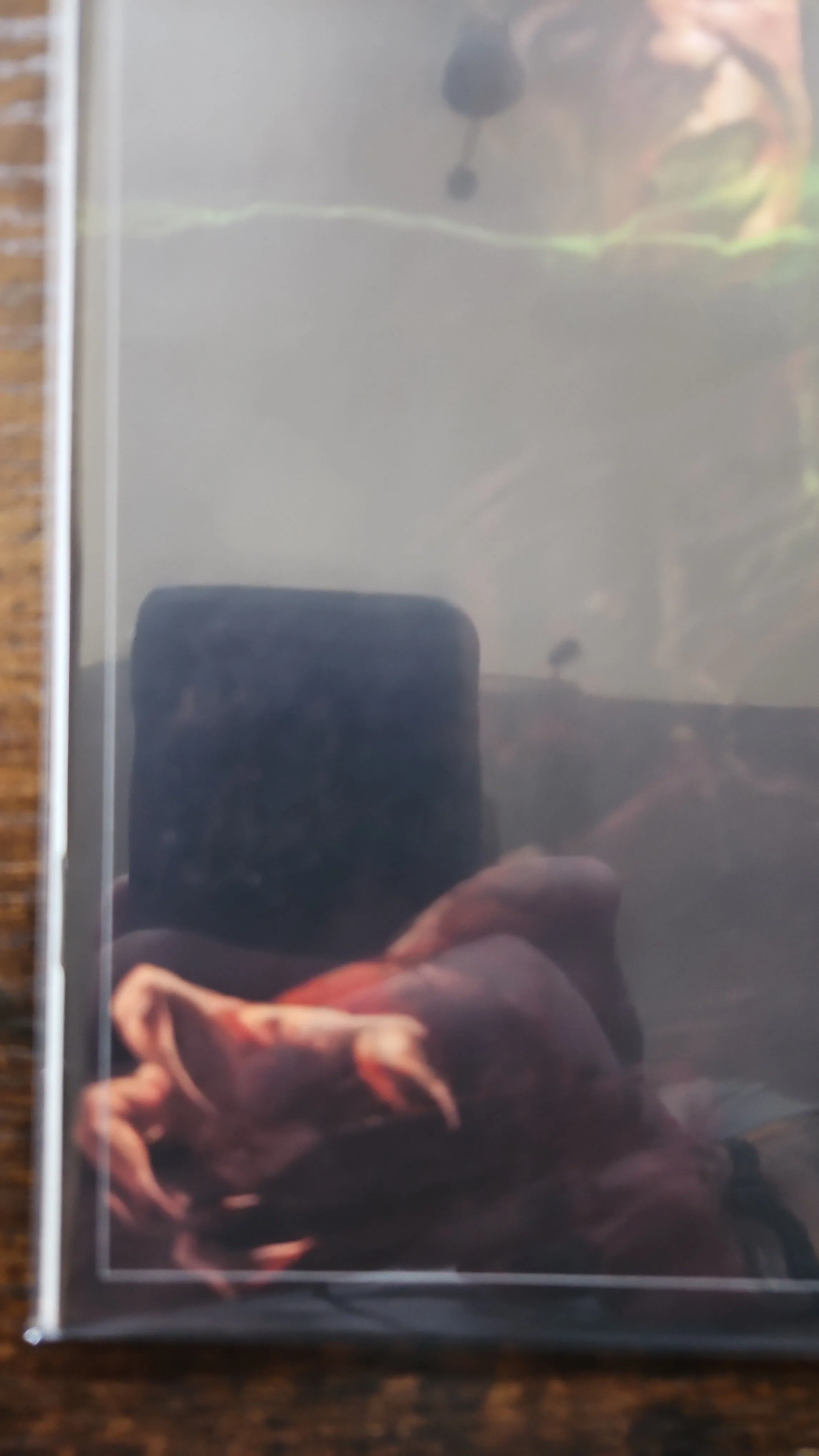 Listing Image Blurred Background