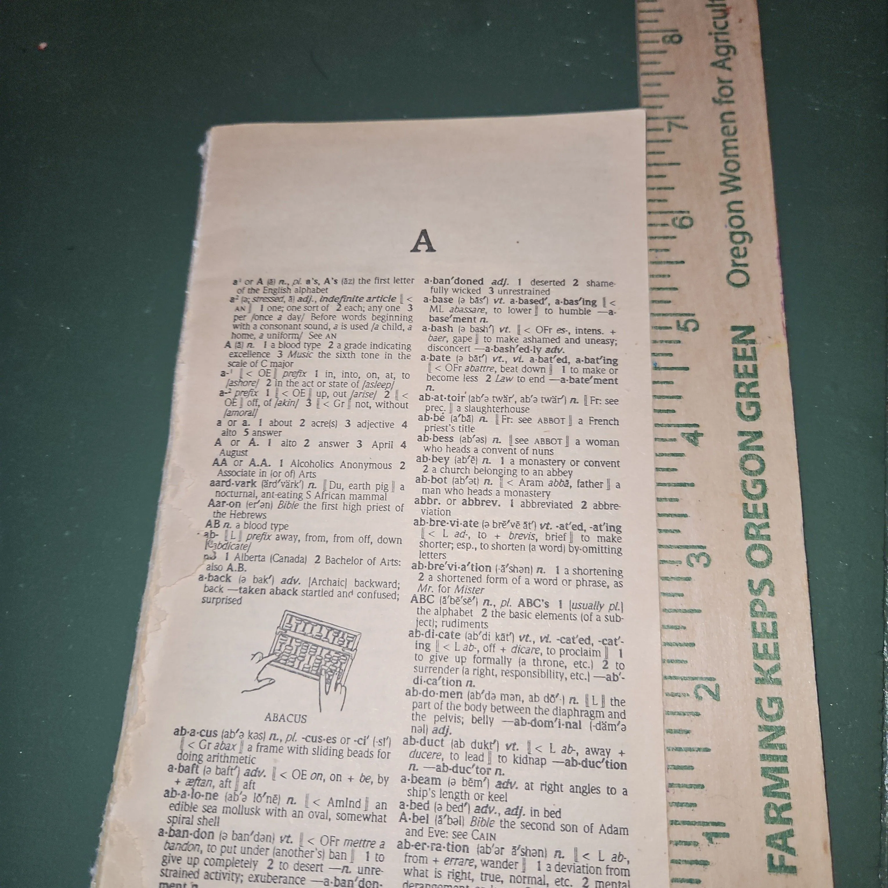 Product image for 20 dictionary pages