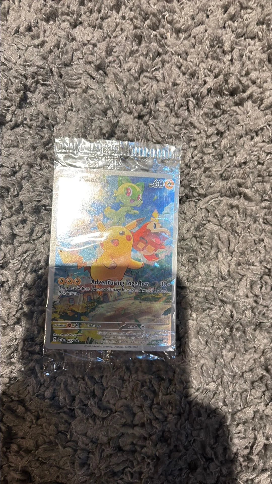 77c62ecd-e338-4c93-ba2e-4573af85592b