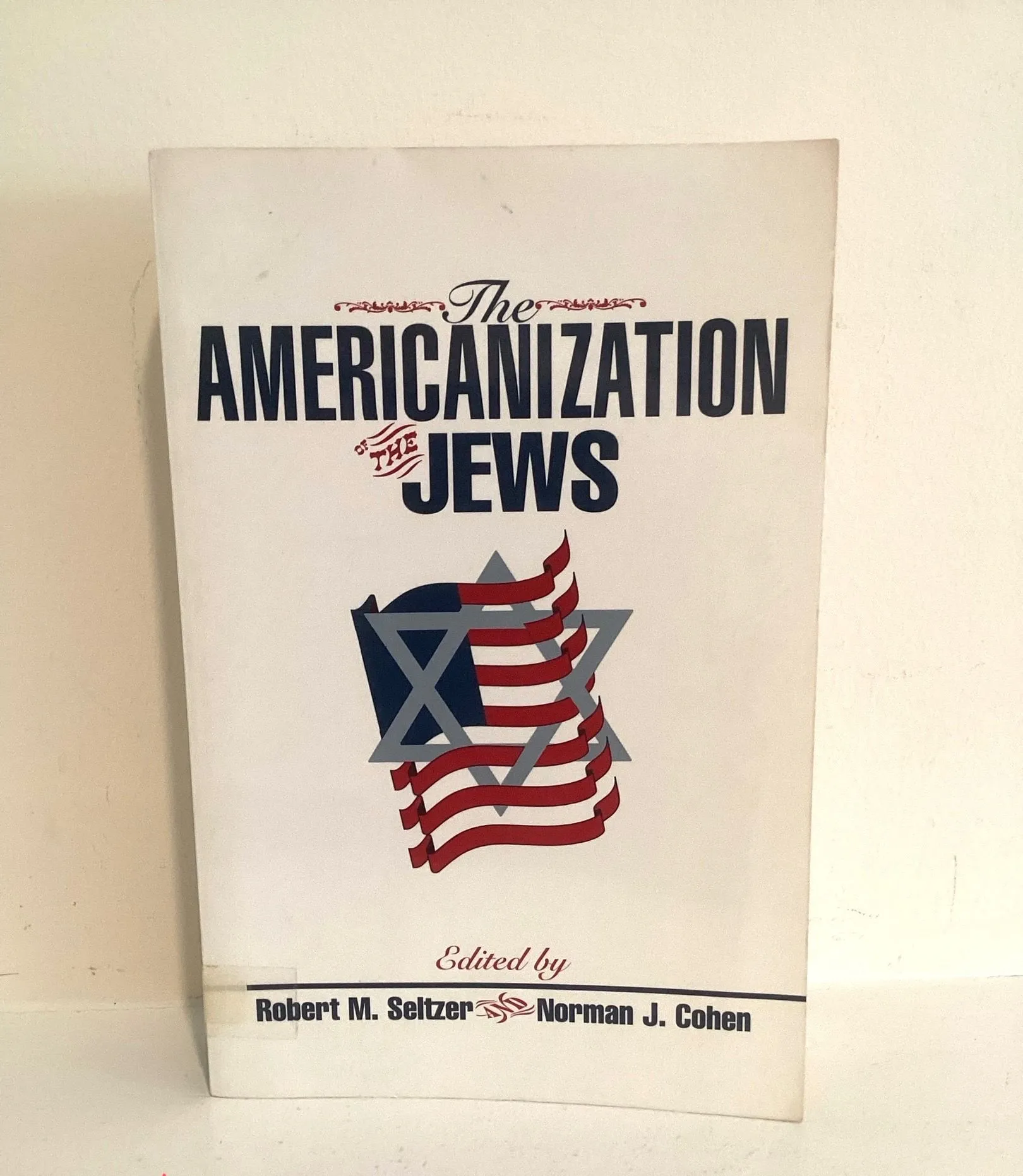 Product image for The Americanization of the Jews  Paperback