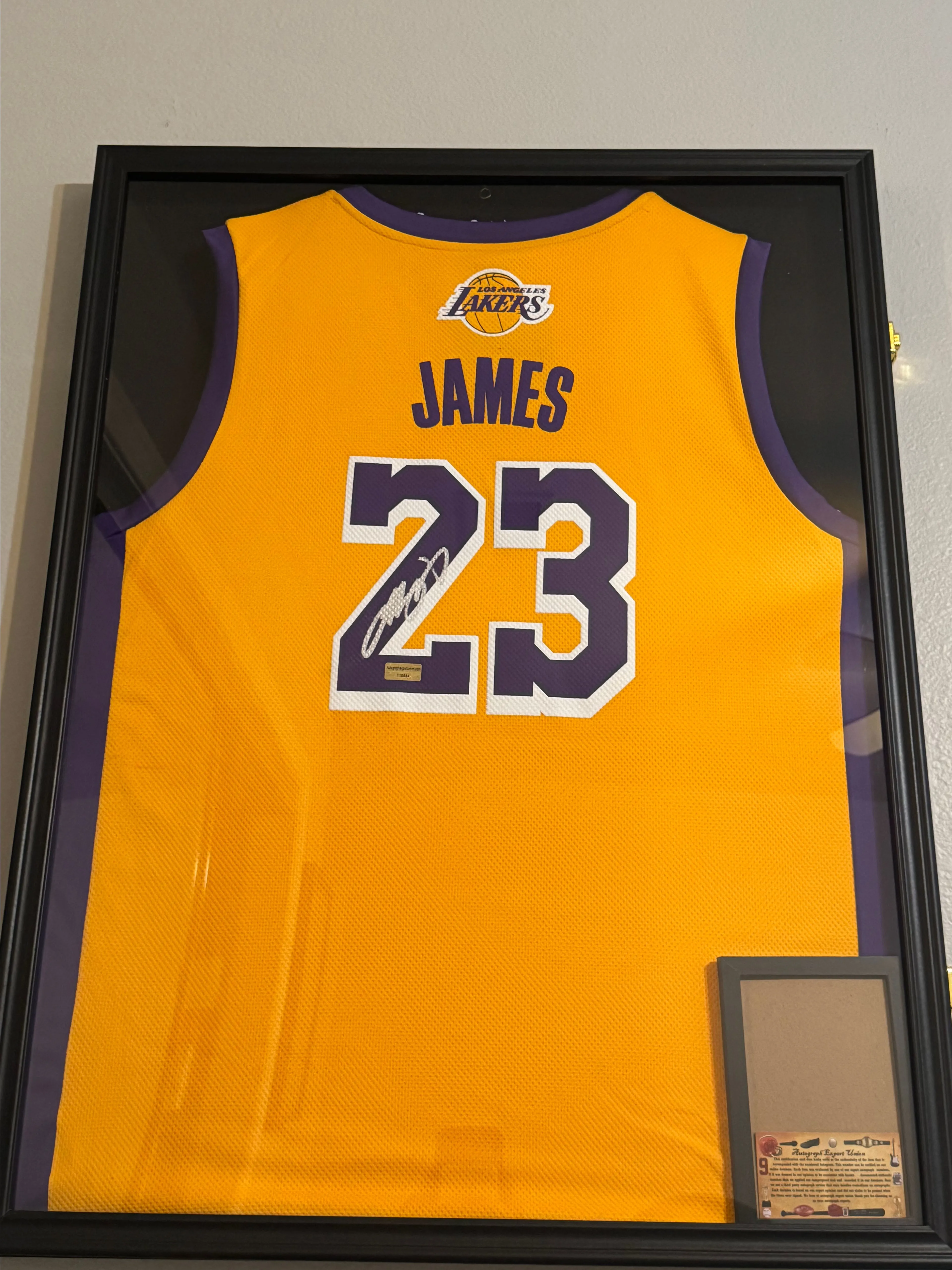 lebron james signed jersey lakers