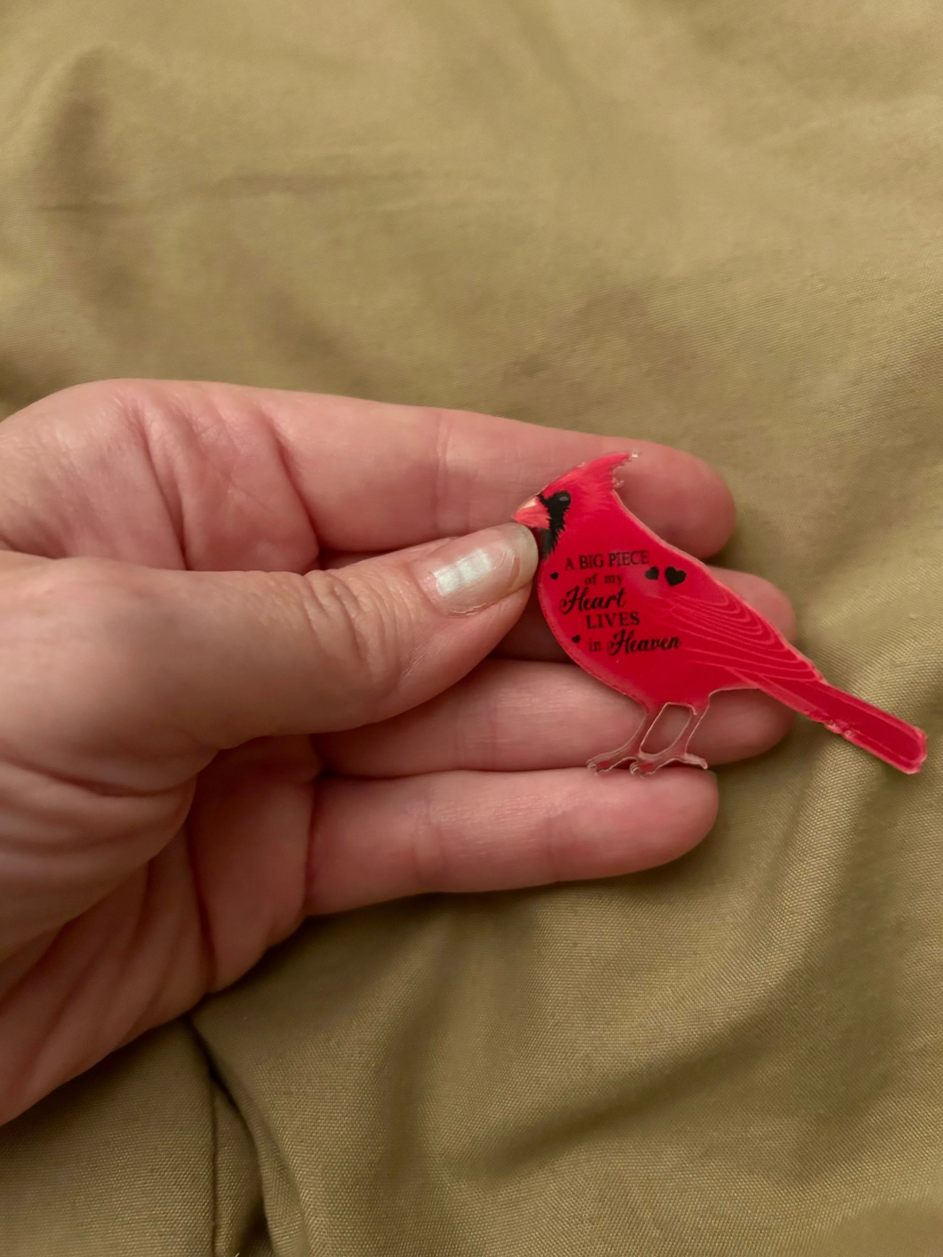 Product image for Memorial Cardinal Brooch #6