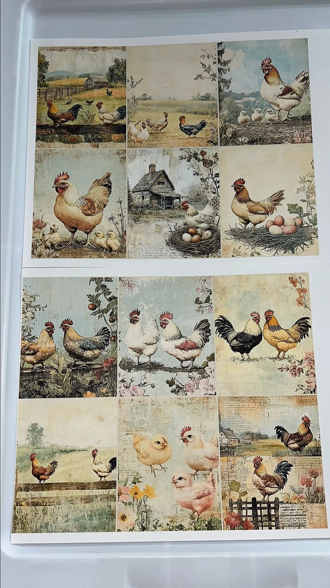 Product image for Chicken Pet Printable #1