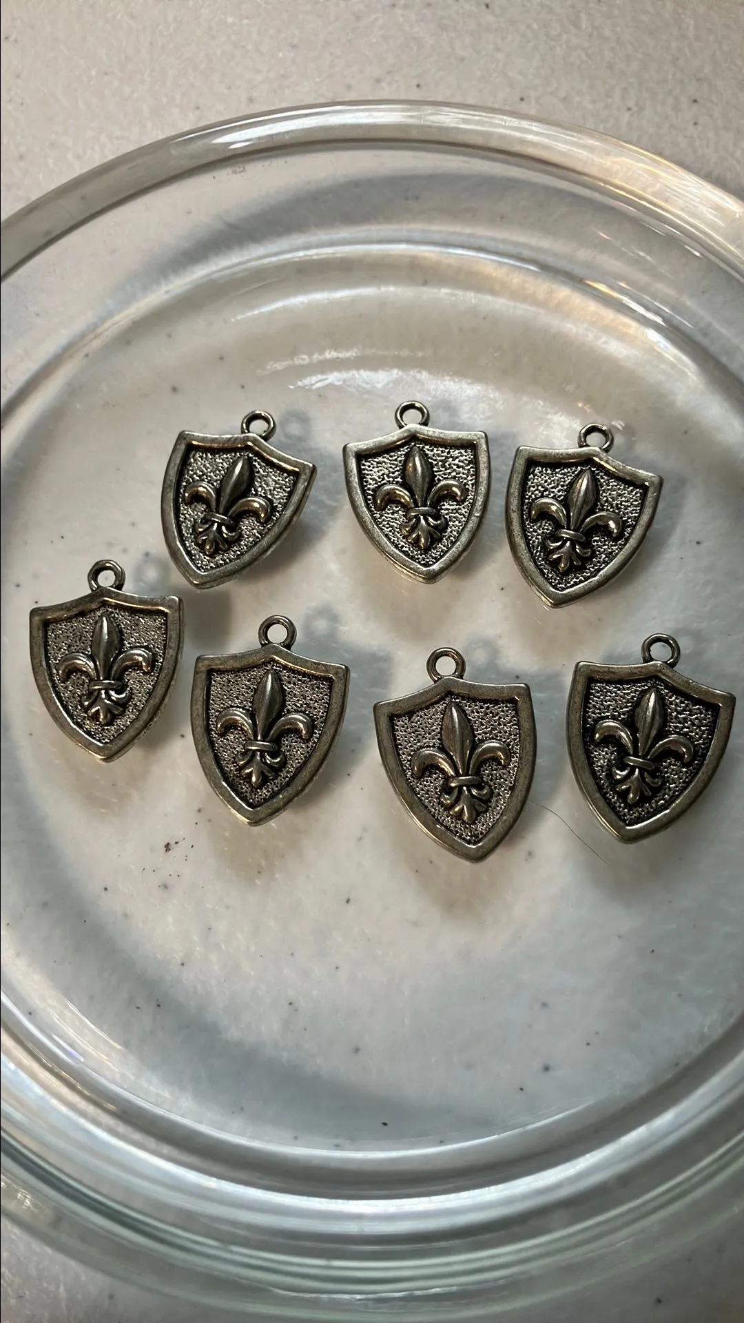 Product image for S19. Shield charms