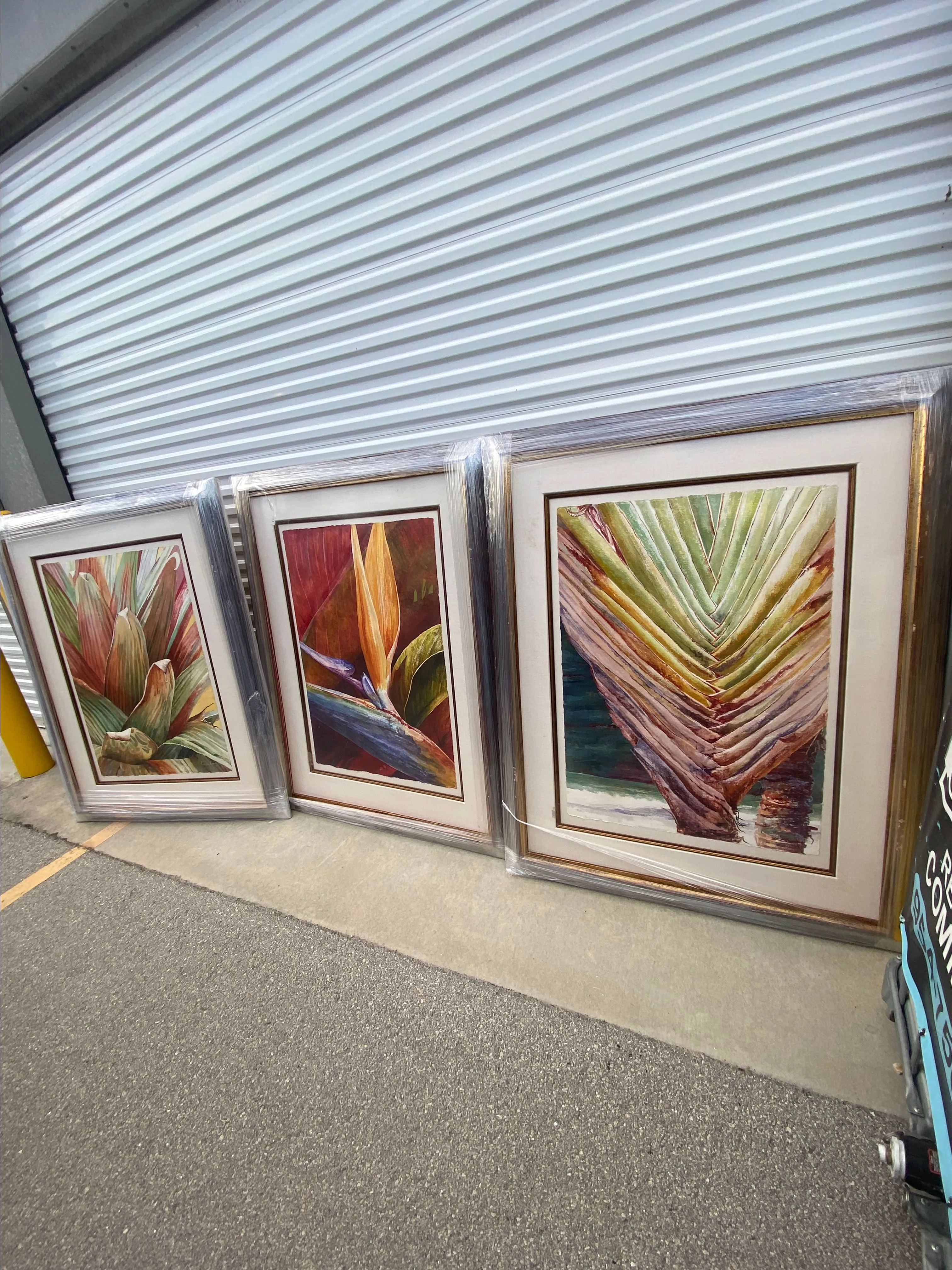 Product image for Carmen Lagos Watercolor Paintings Original Signed 2005-2006 $5000 Estimated Value Each Excellent Con