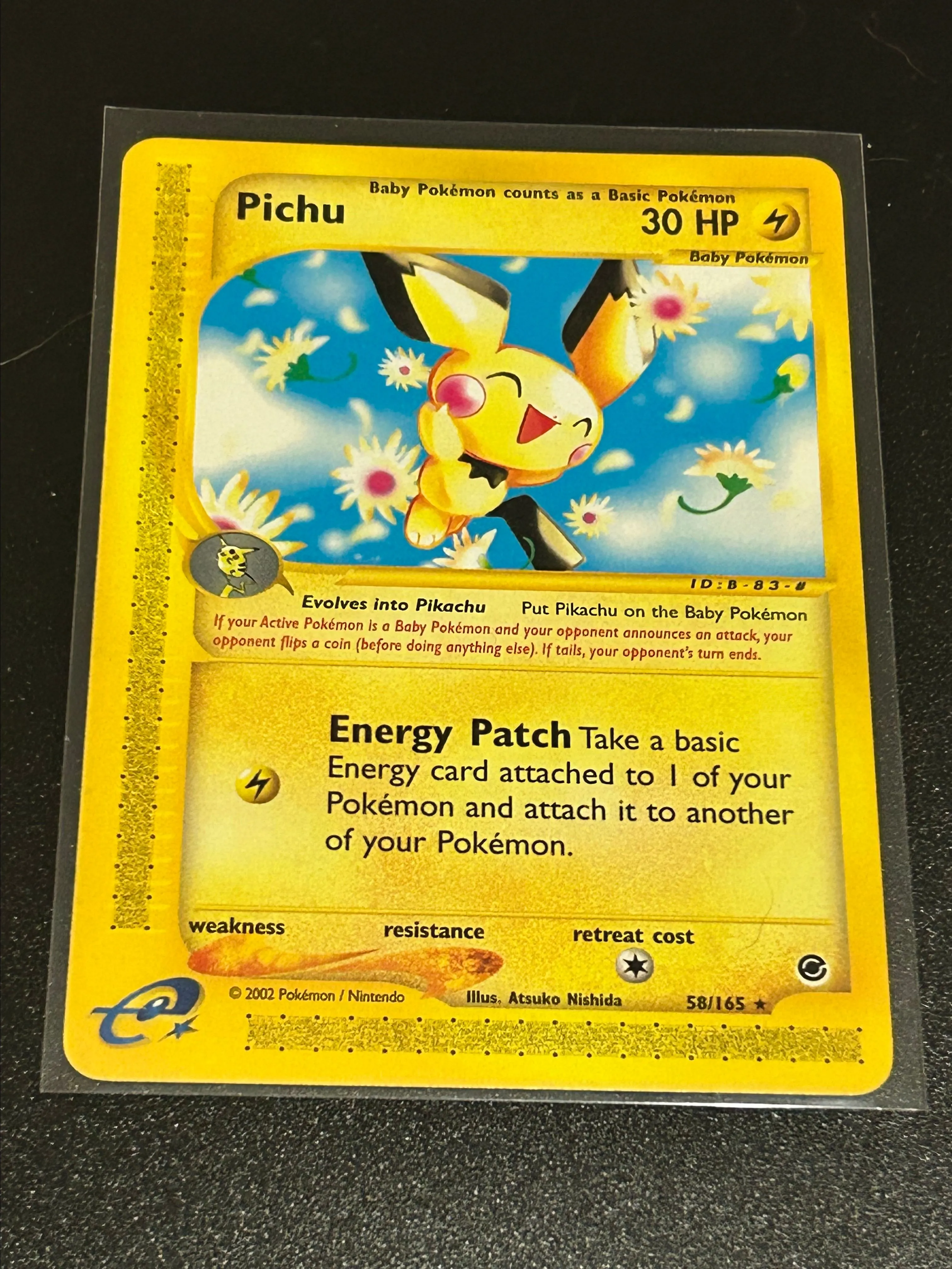Product image for Pichu Expedition 58