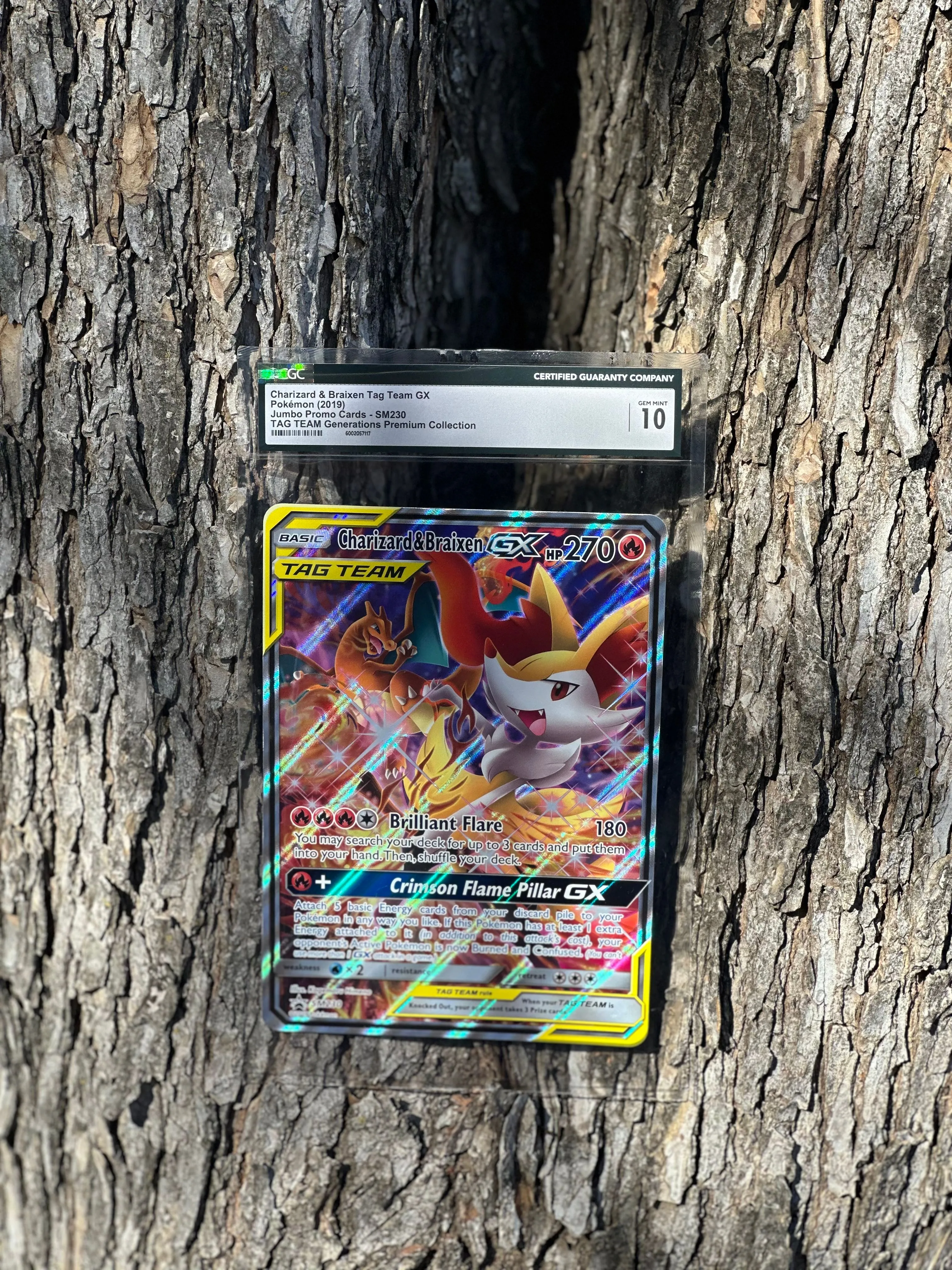 Product image for 🌟POP 1🌟 CGC 10 Charizard & Braixen Tag Team GX JUMBO Promo Card SM230
