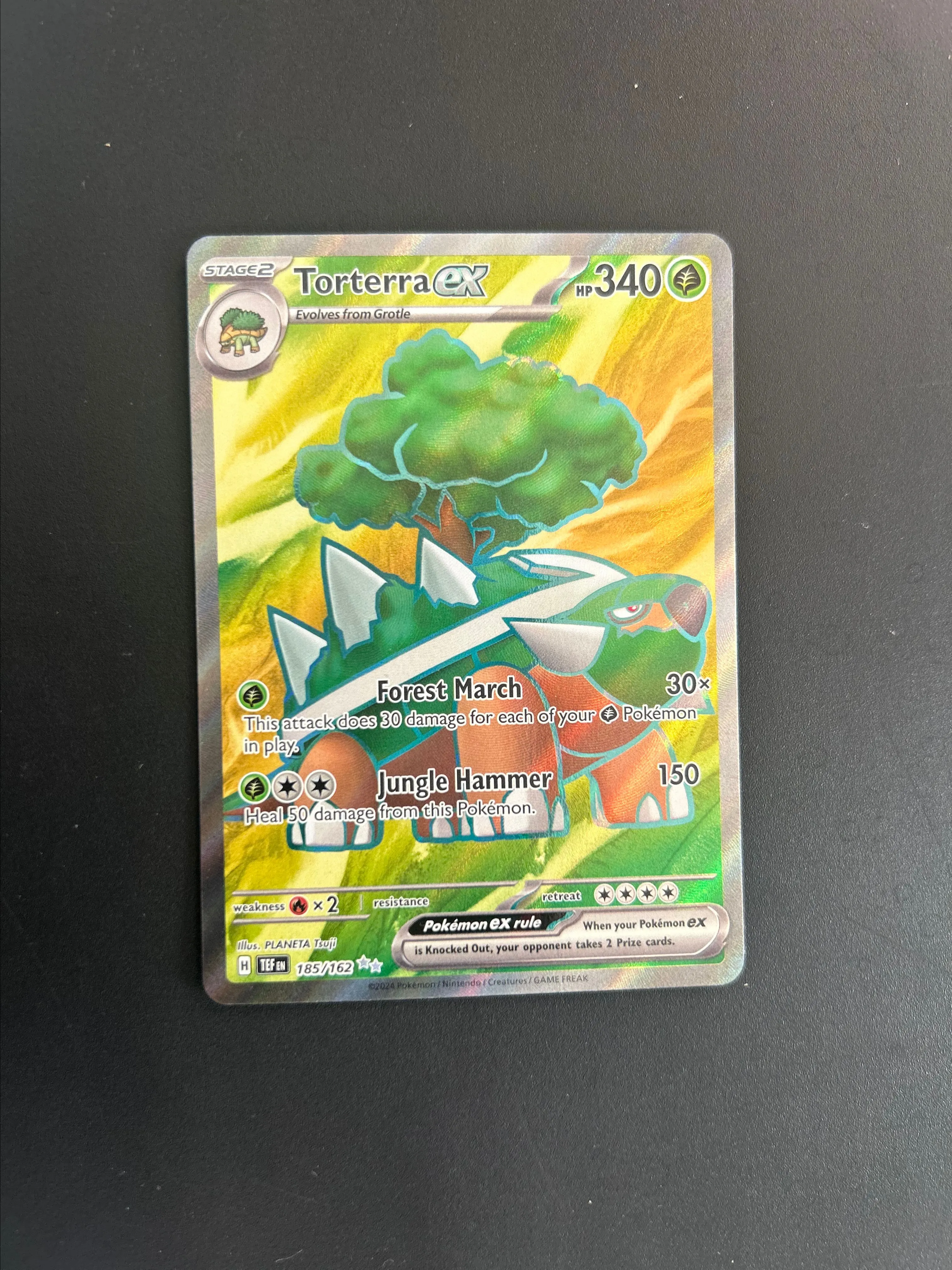 Product image for Torterra Ex