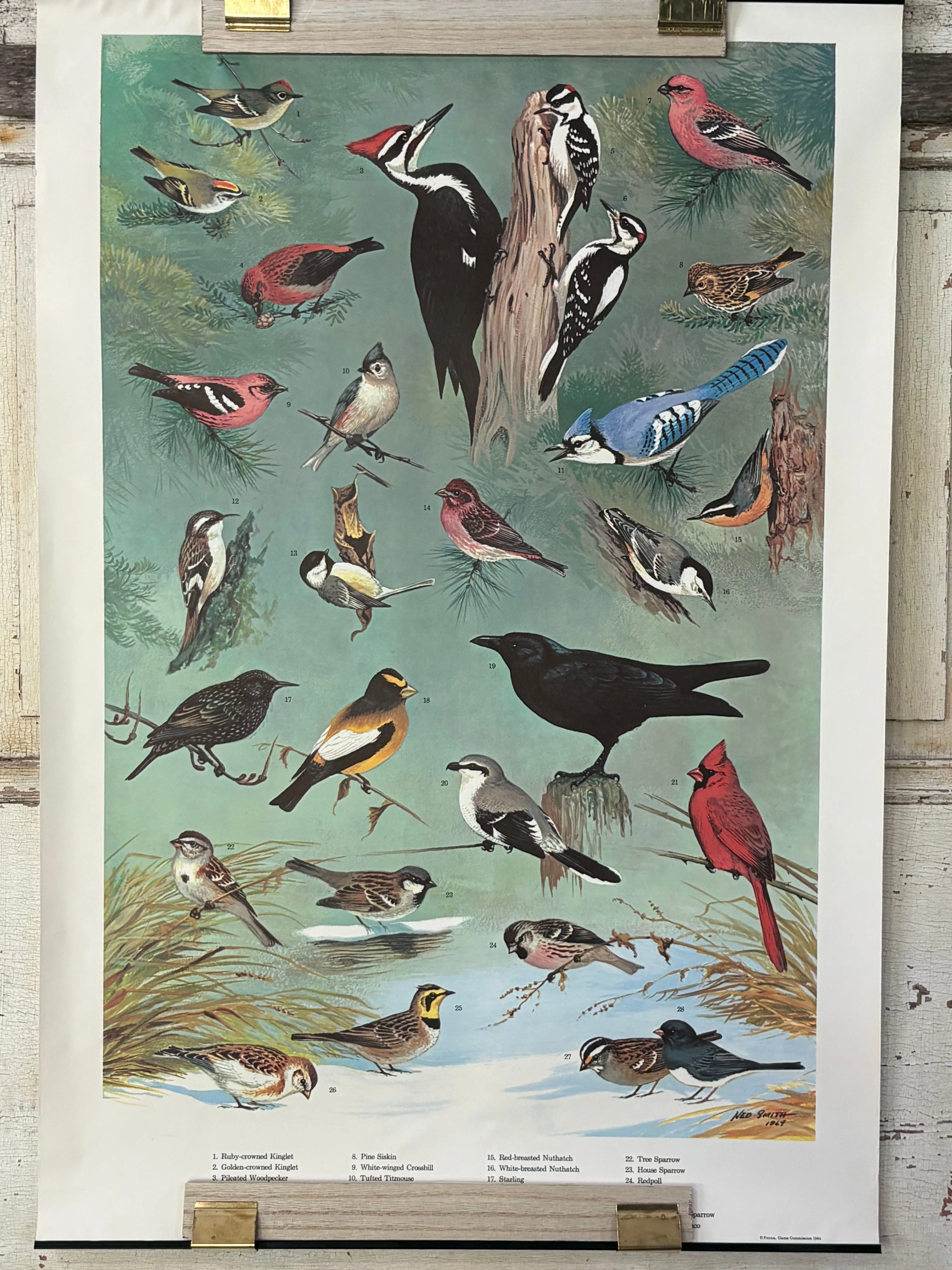 Product image for 10. Rare 1964 Ned Smith "Winter Birds"