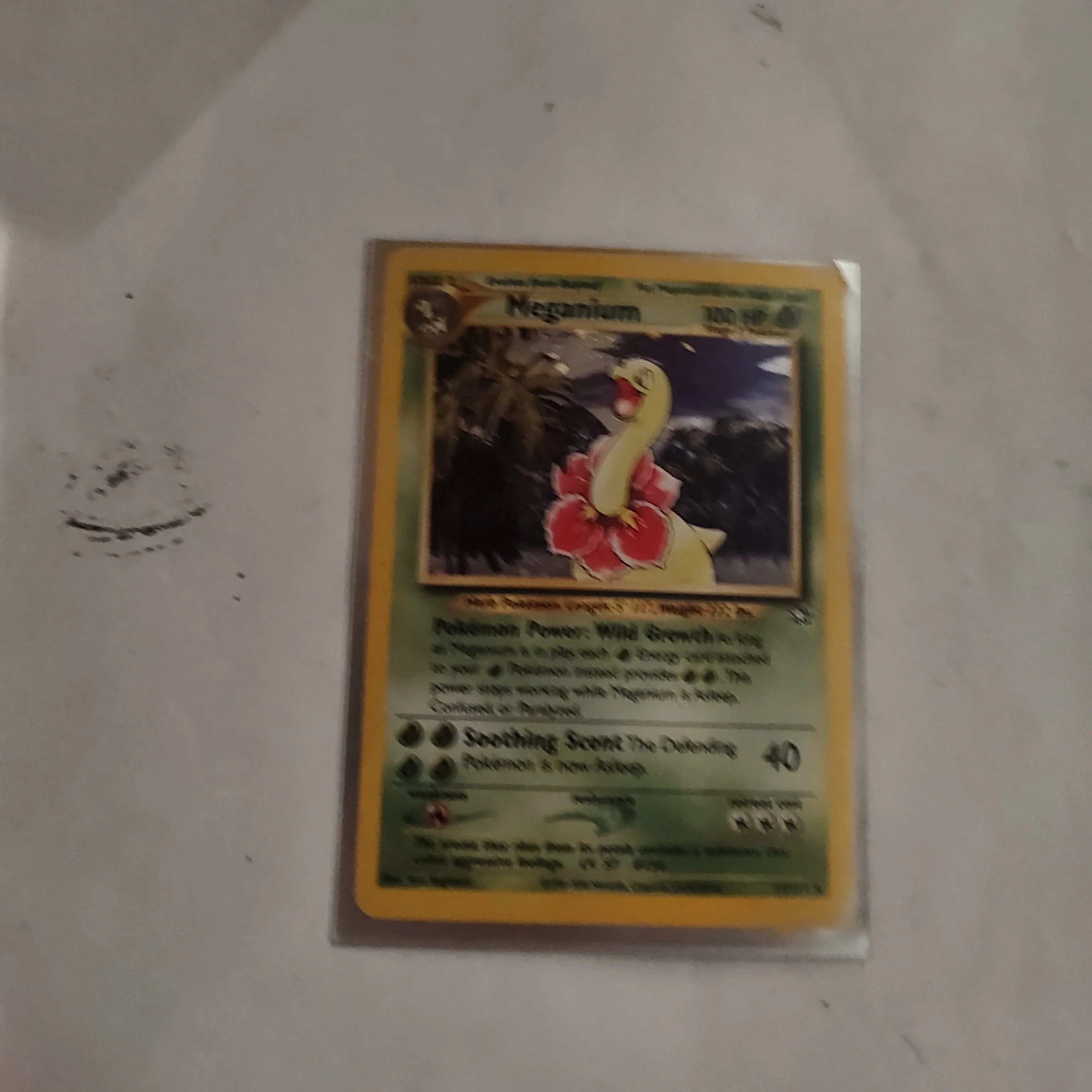 Product image for Pokemon Holo meganium 11/111