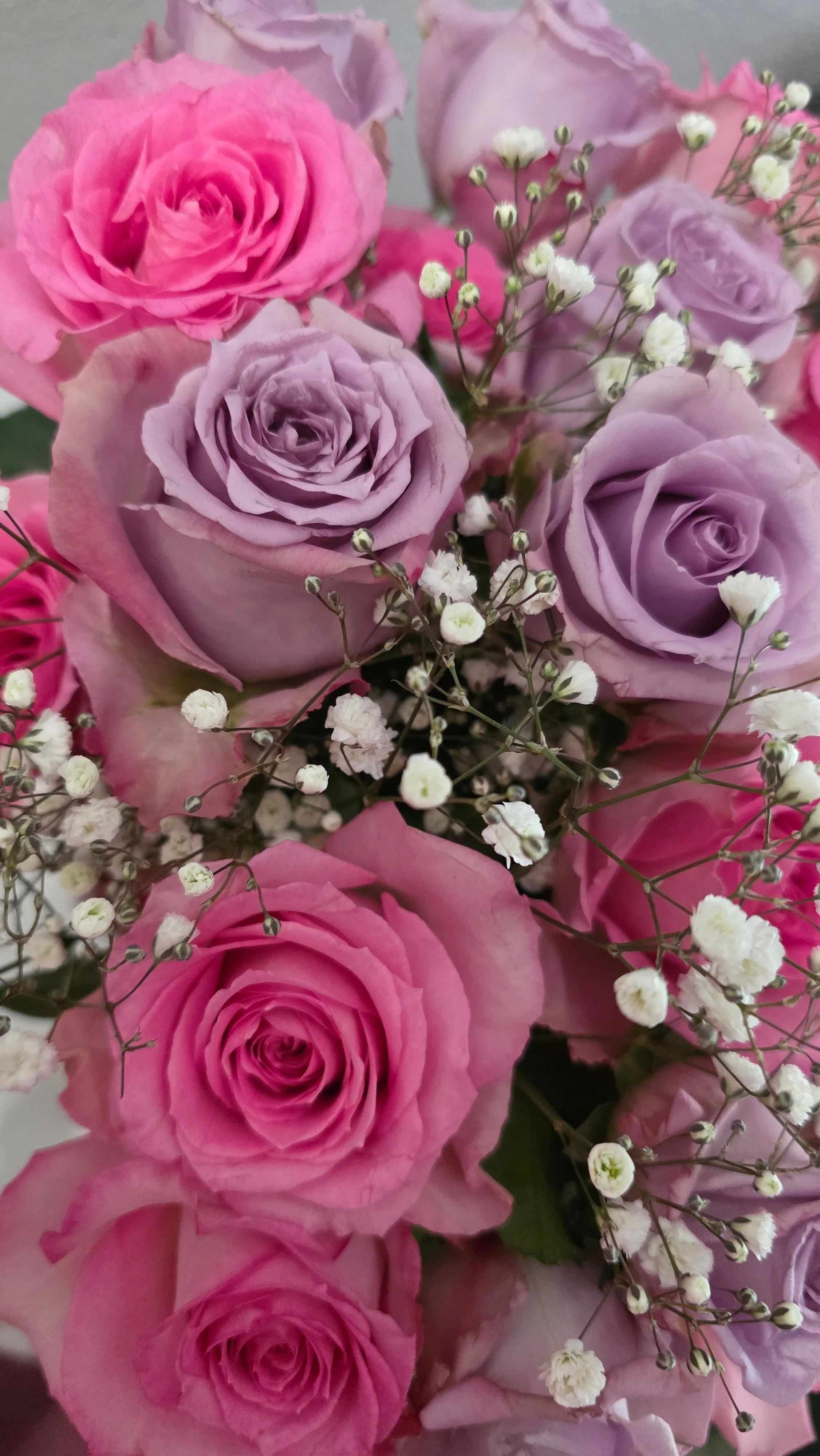 7ab0b756-423c-4bf2-9004-10ae49e004bc