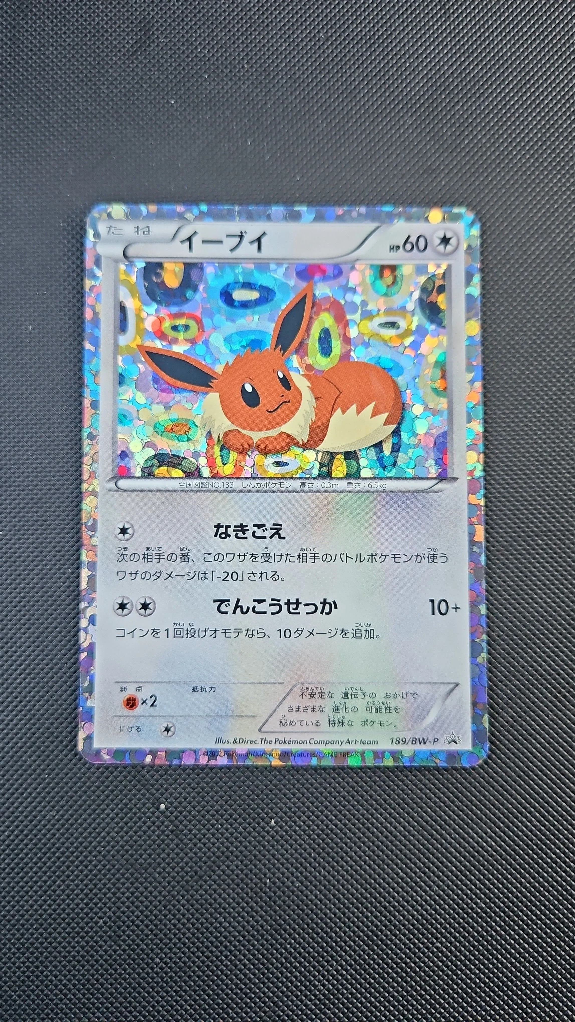 pokemon card game collection file eevee Pokémon Center Trading Card Game Official Deck Box main image 1
