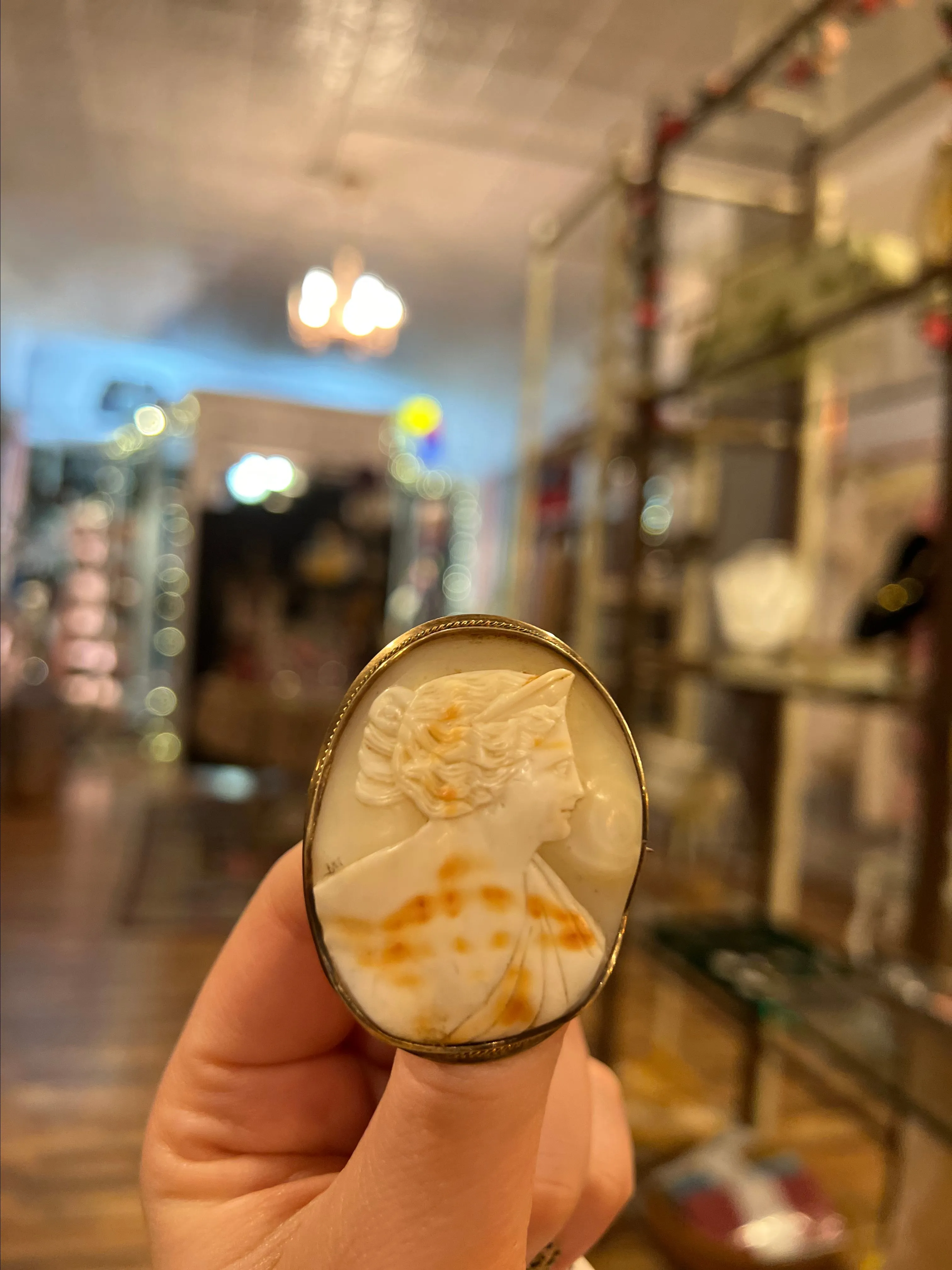 Product image for 1870's 14 KT Nautilus Shell Cameo