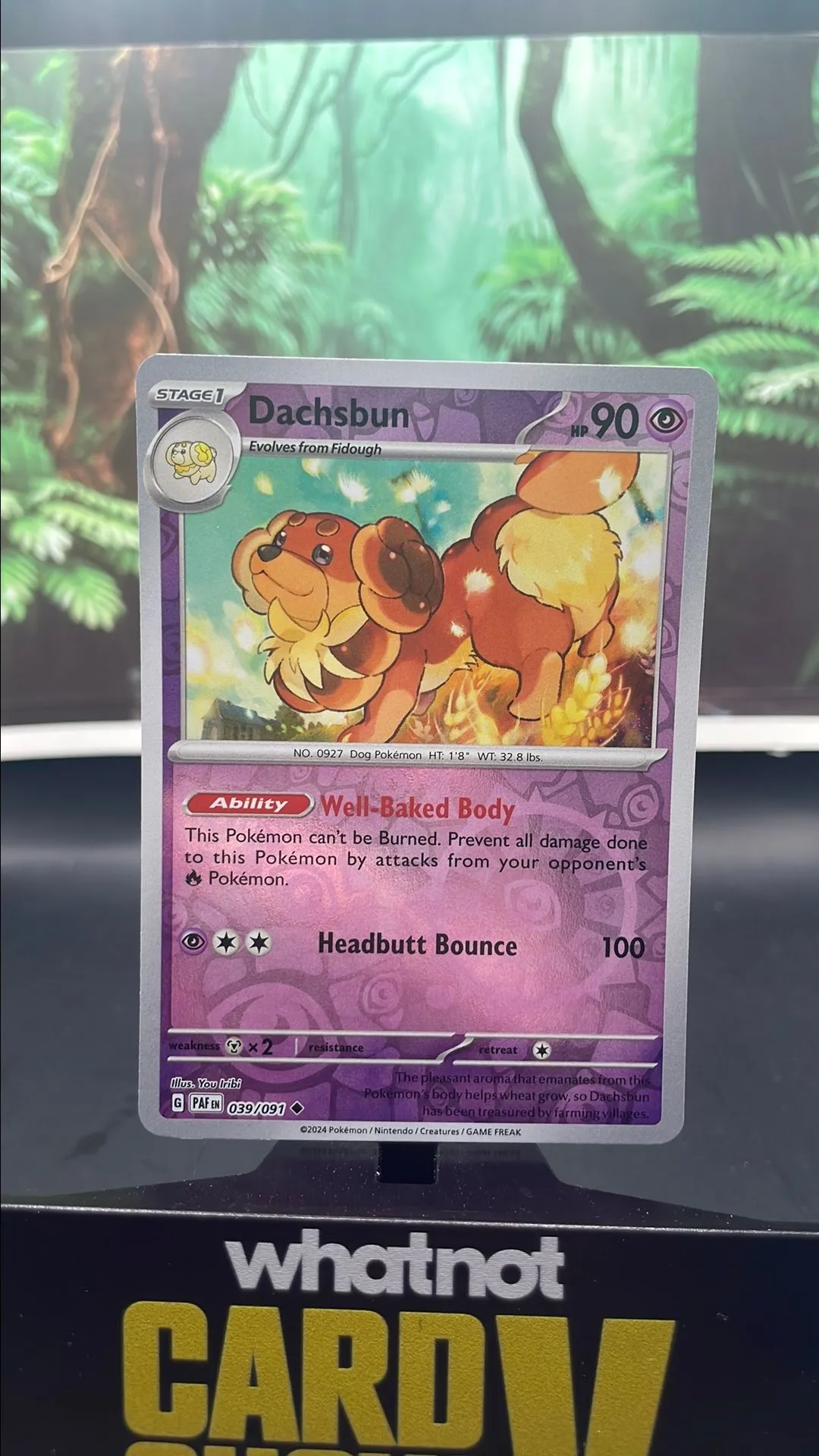 Product image for Dachsbun (Reverse)