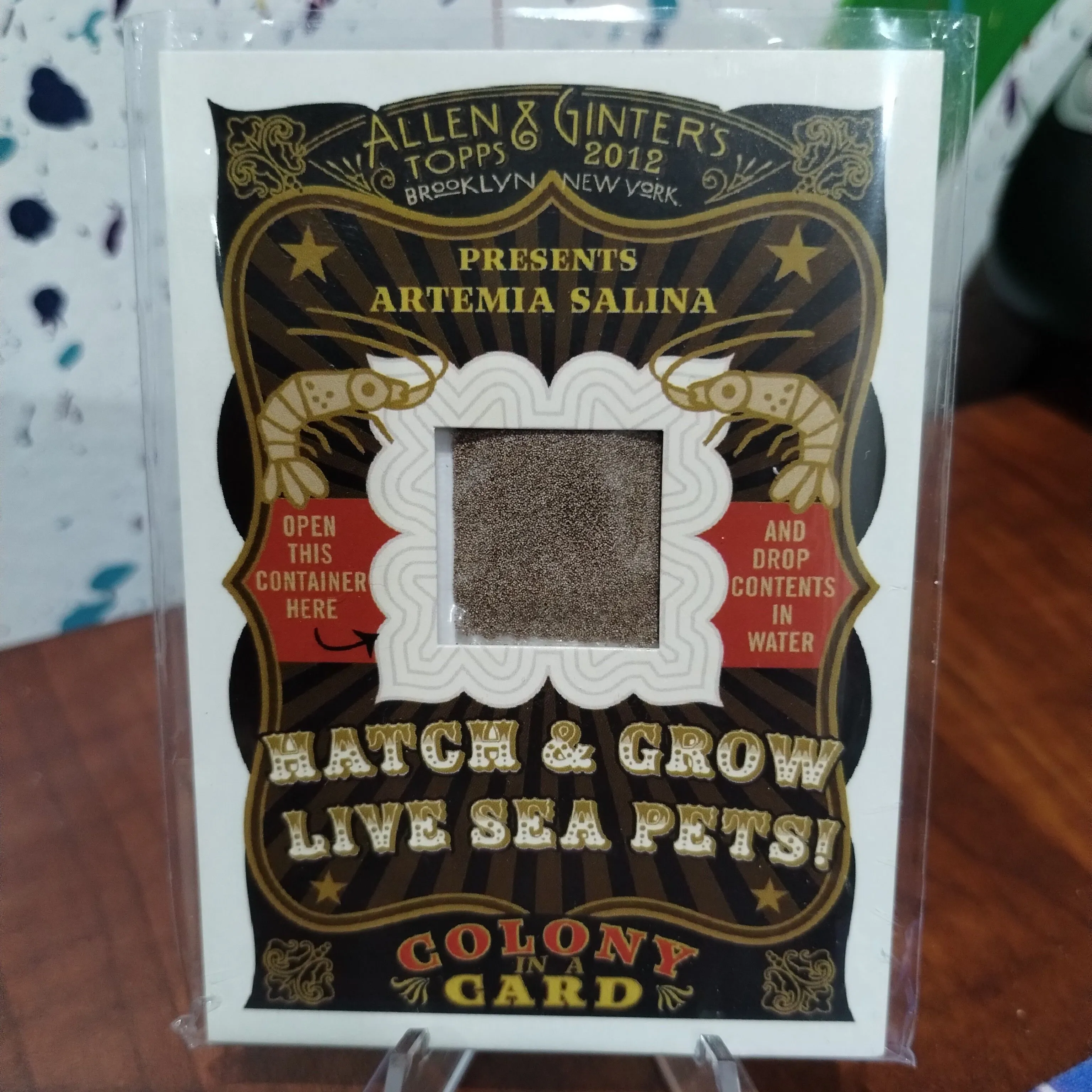 Product image for 2012 A&G Colony In A Card sea monkeys 