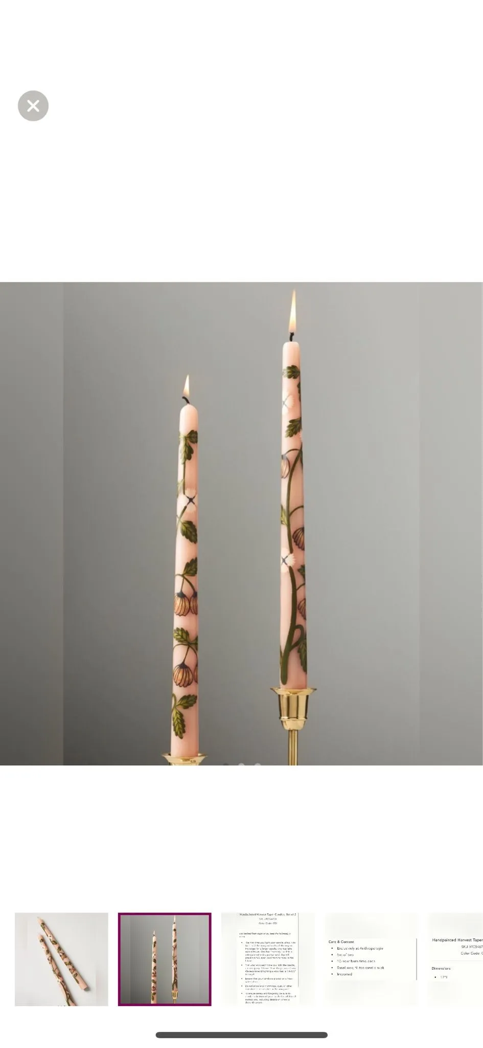 Anthropologie Handpainted Harvest Taper Candles