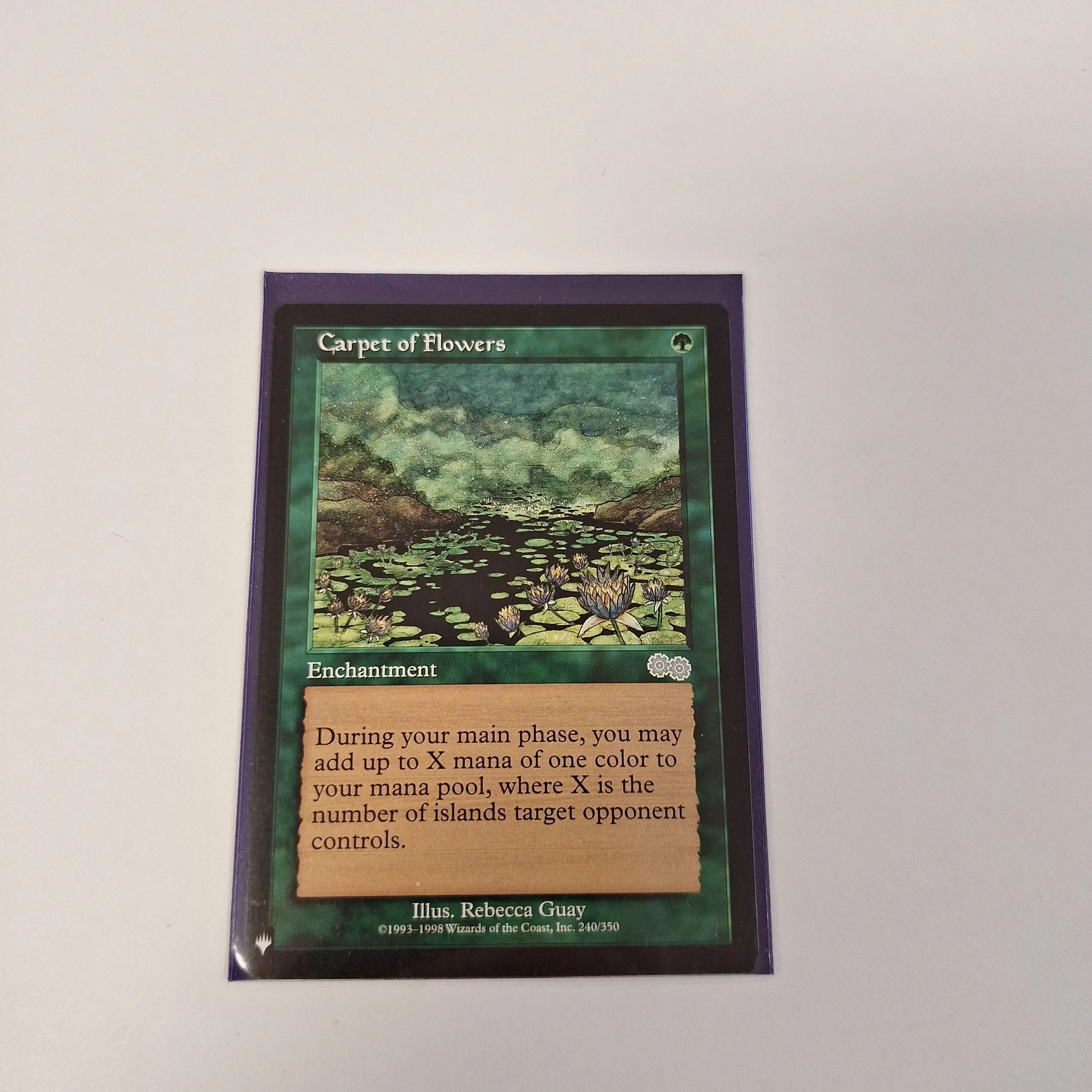 Product image for Carpet of Flowers