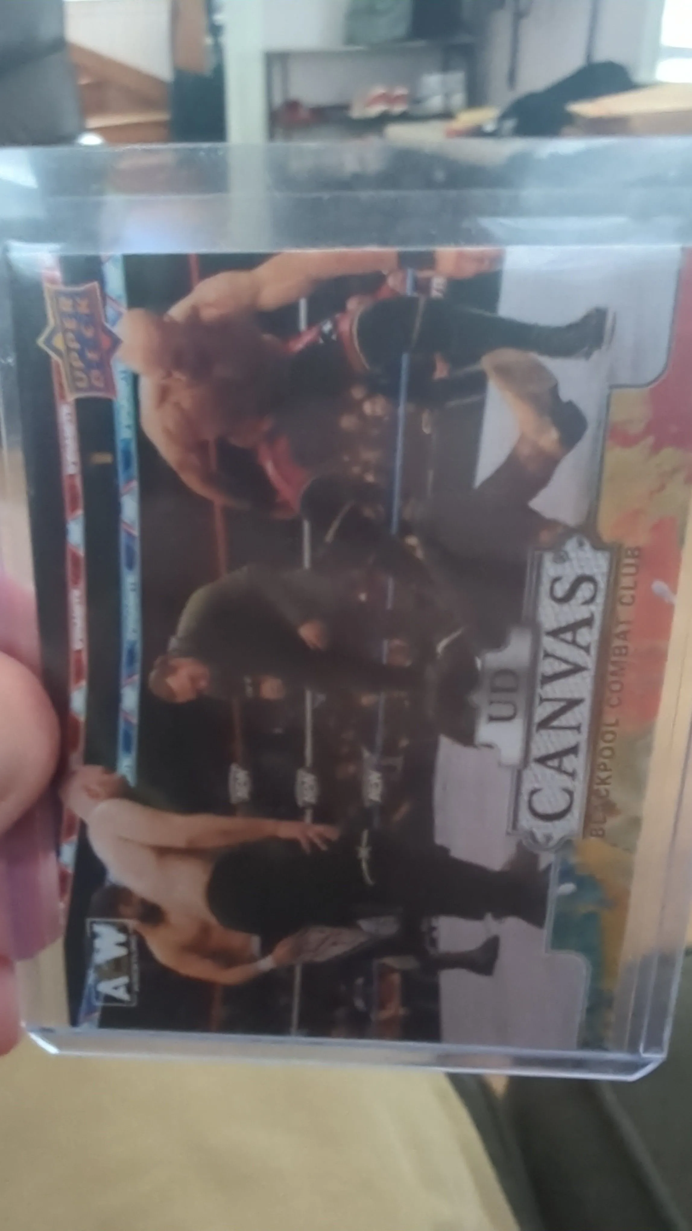 Product image for Blackpool Combat Club Canvas