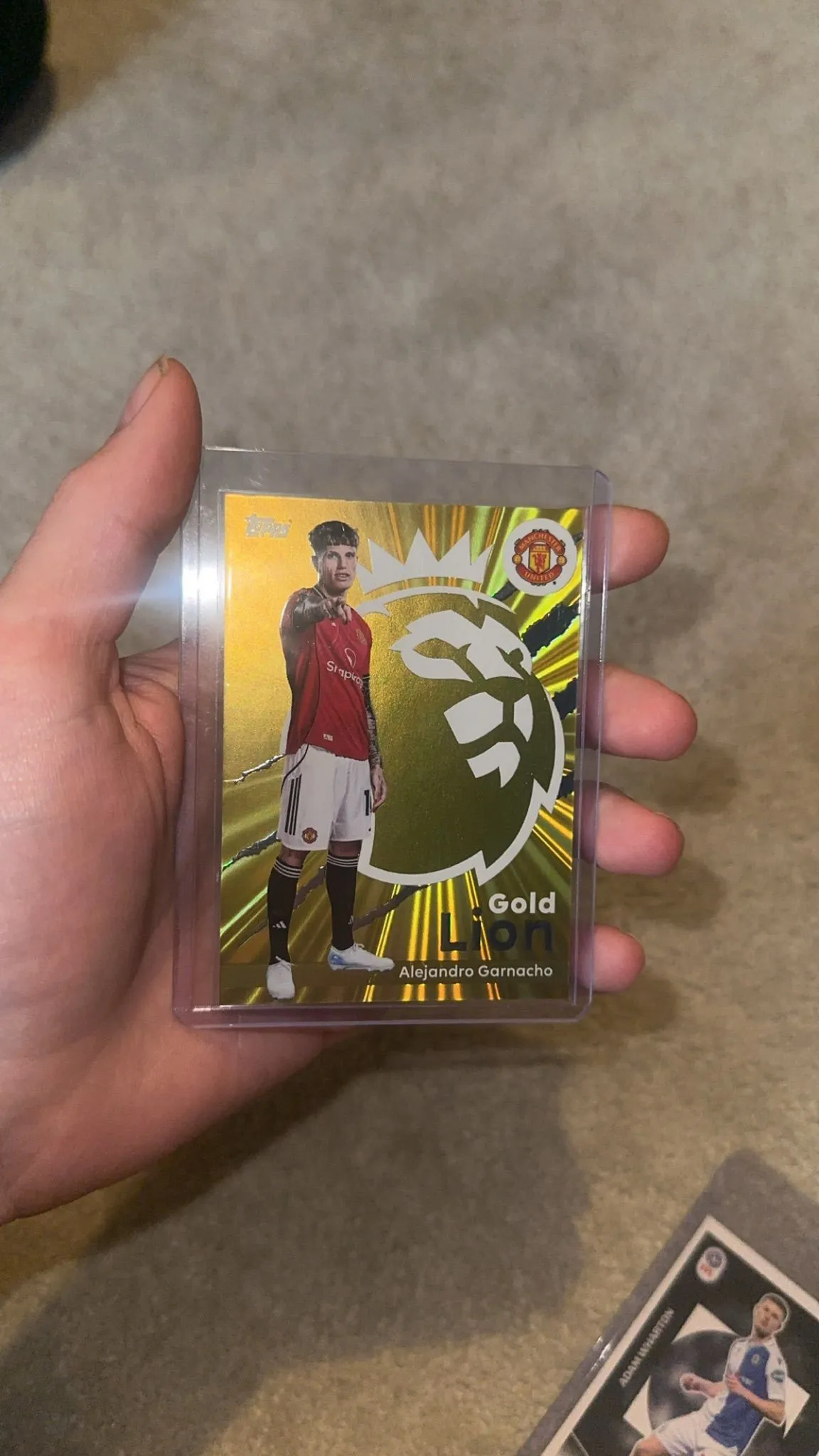 7ef83f76-07c7-4d34-80a6-e1af2be487cd