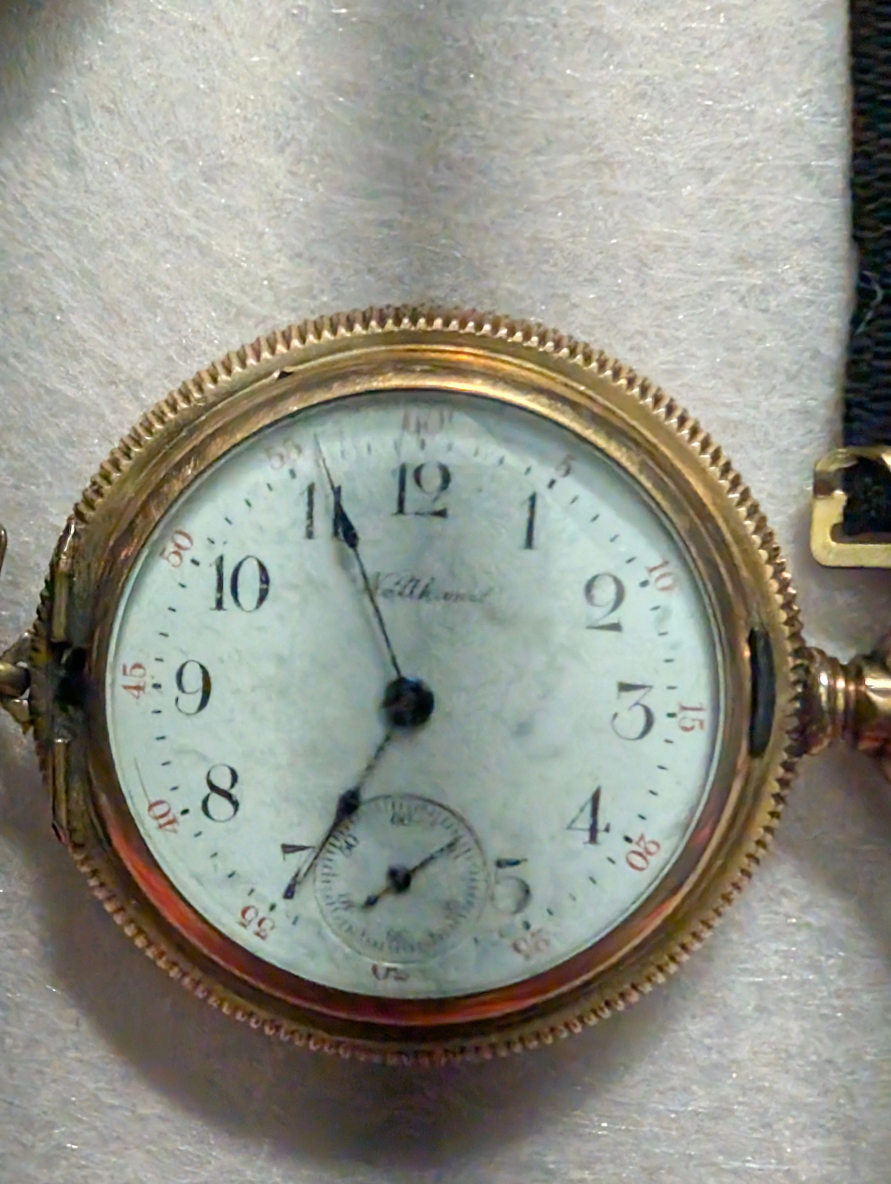 800f0f85-a1db-478a-aeec-62b4438bac46