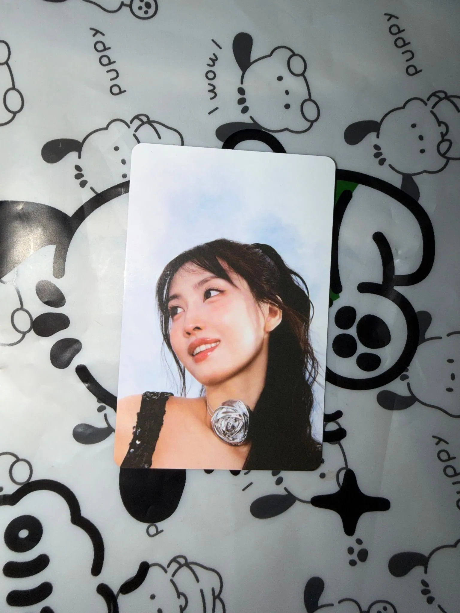 8095e4cf-bd7b-449c-8fea-68074d5c9554