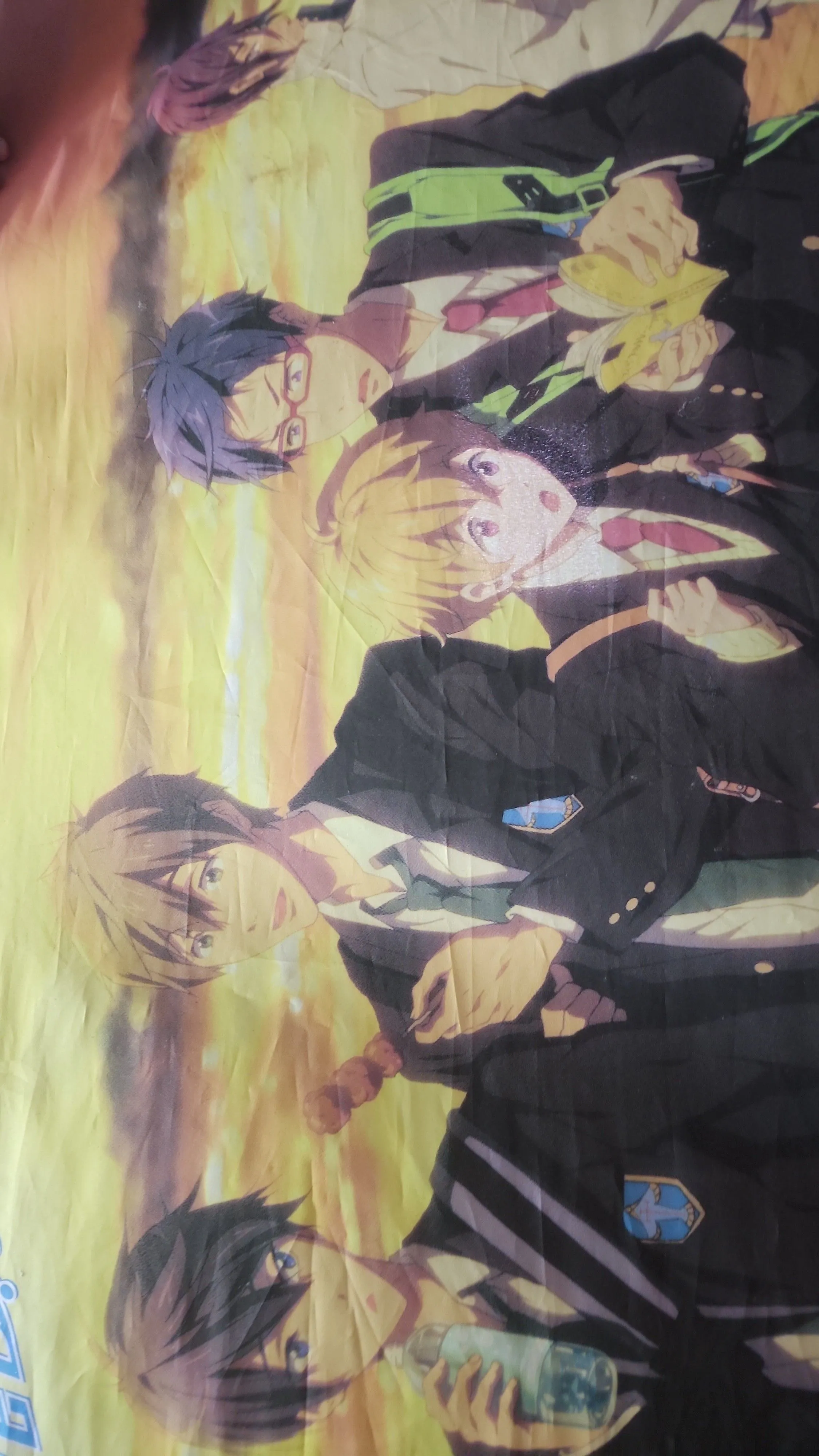 Product image for Free - Large Cloth Wallscroll