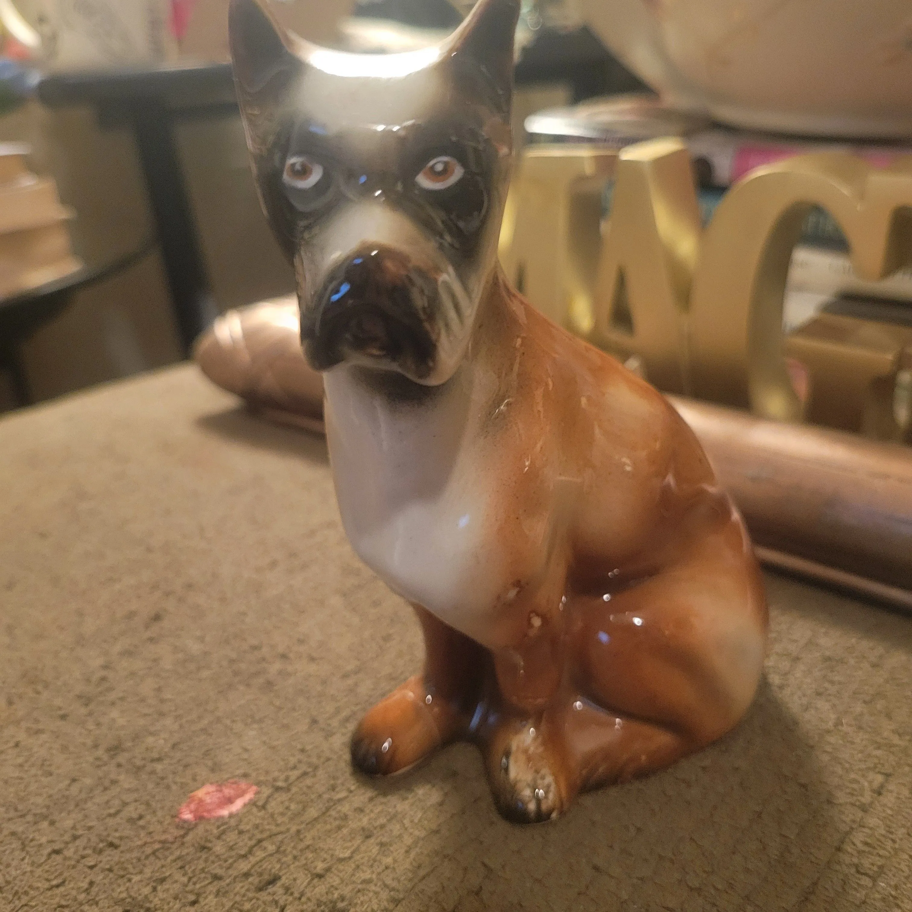 Product image for Brazil dog
