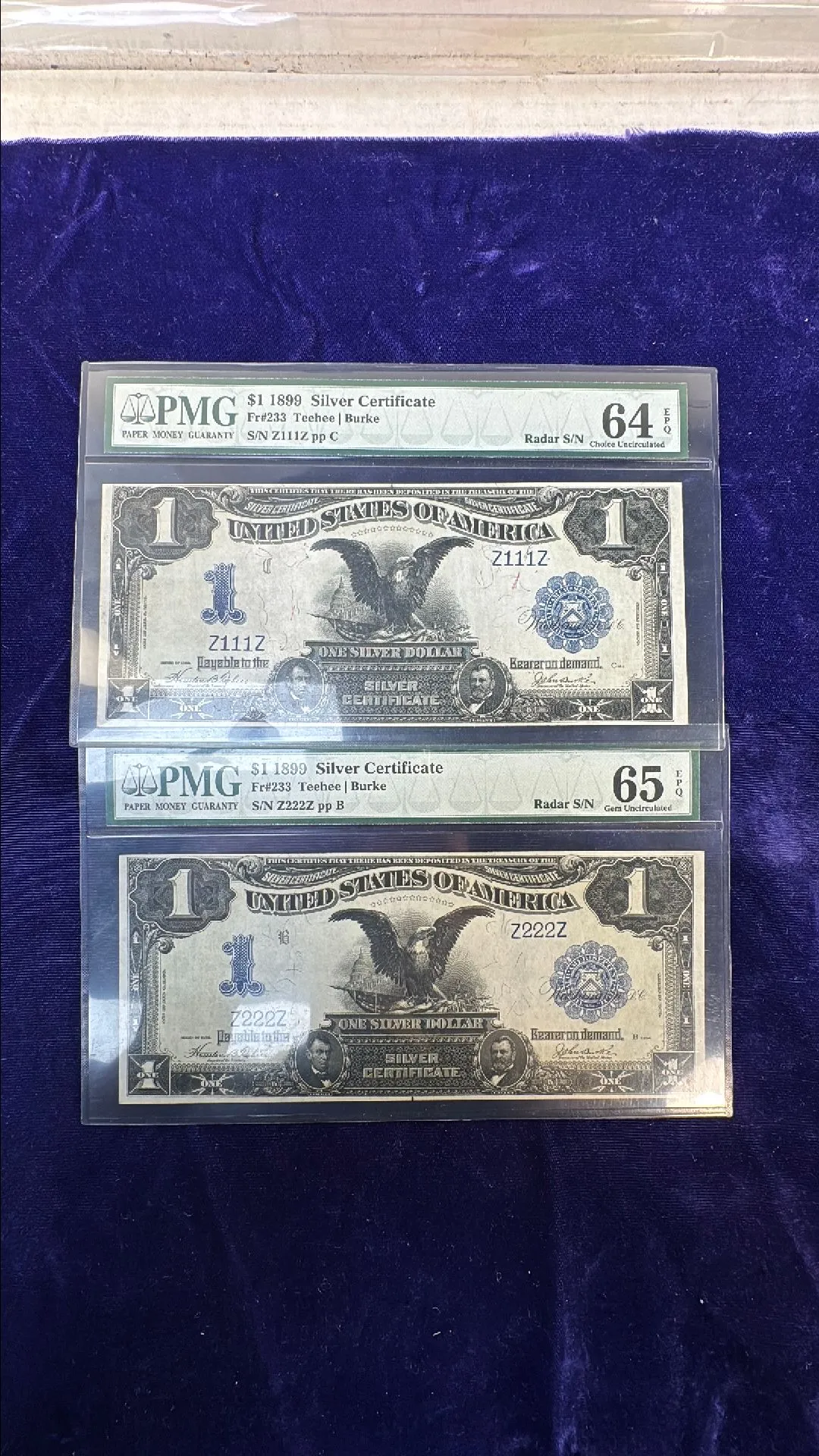 Product image for Fancy serial Black Eagle Pair