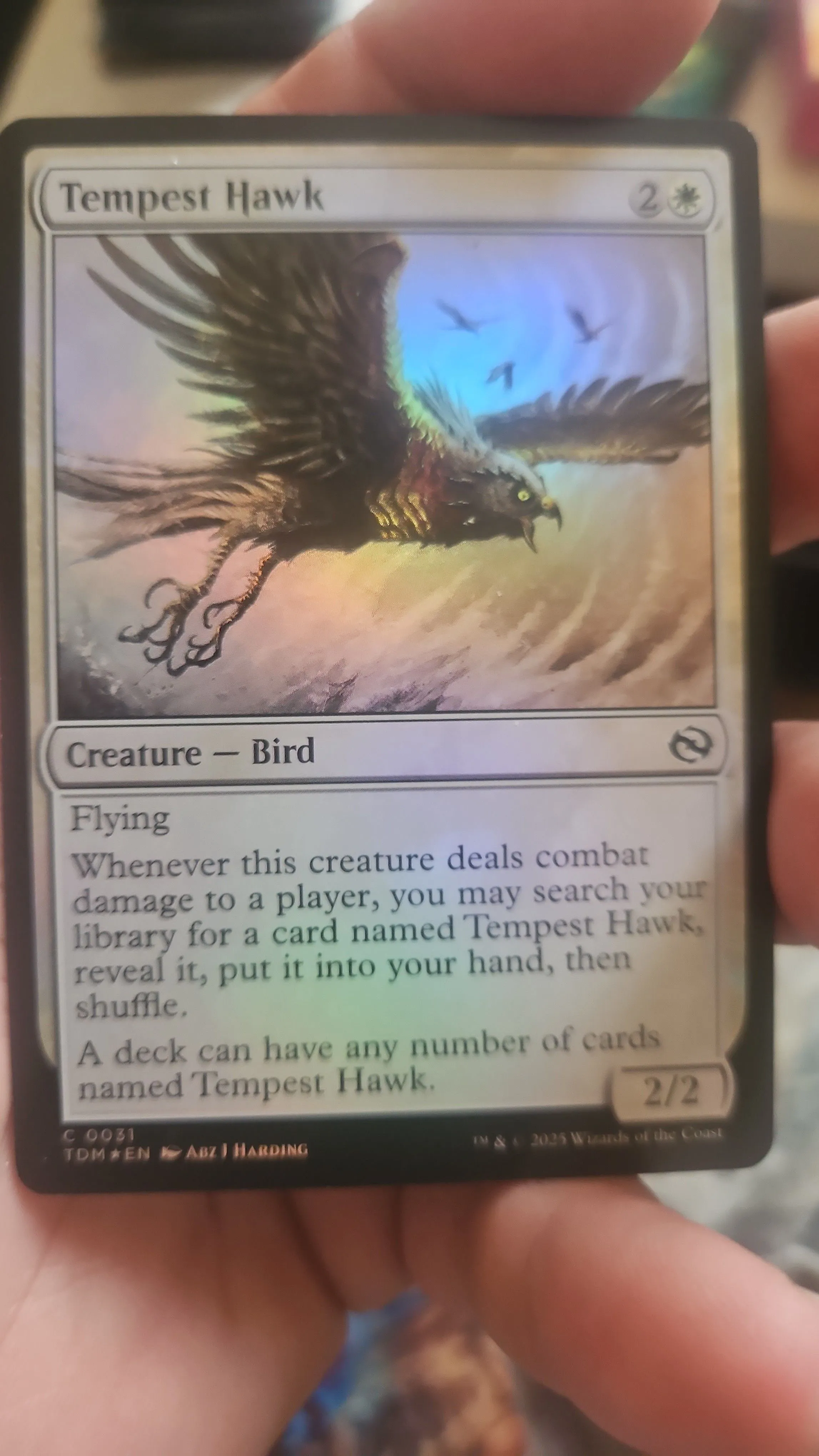 Product image for Tempest hawk foil
