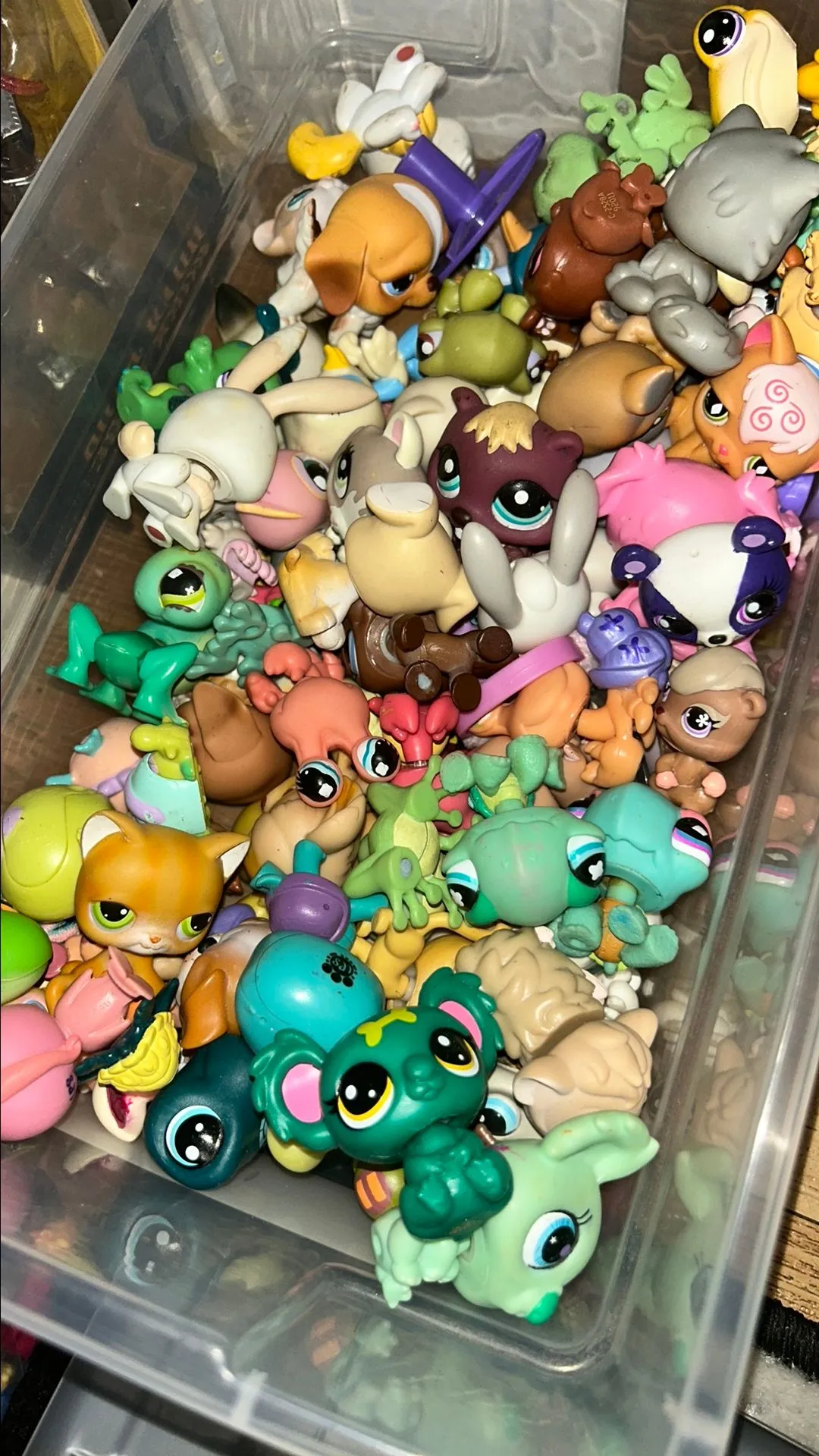 Product image for Single Littlest pet shop buyers choice!