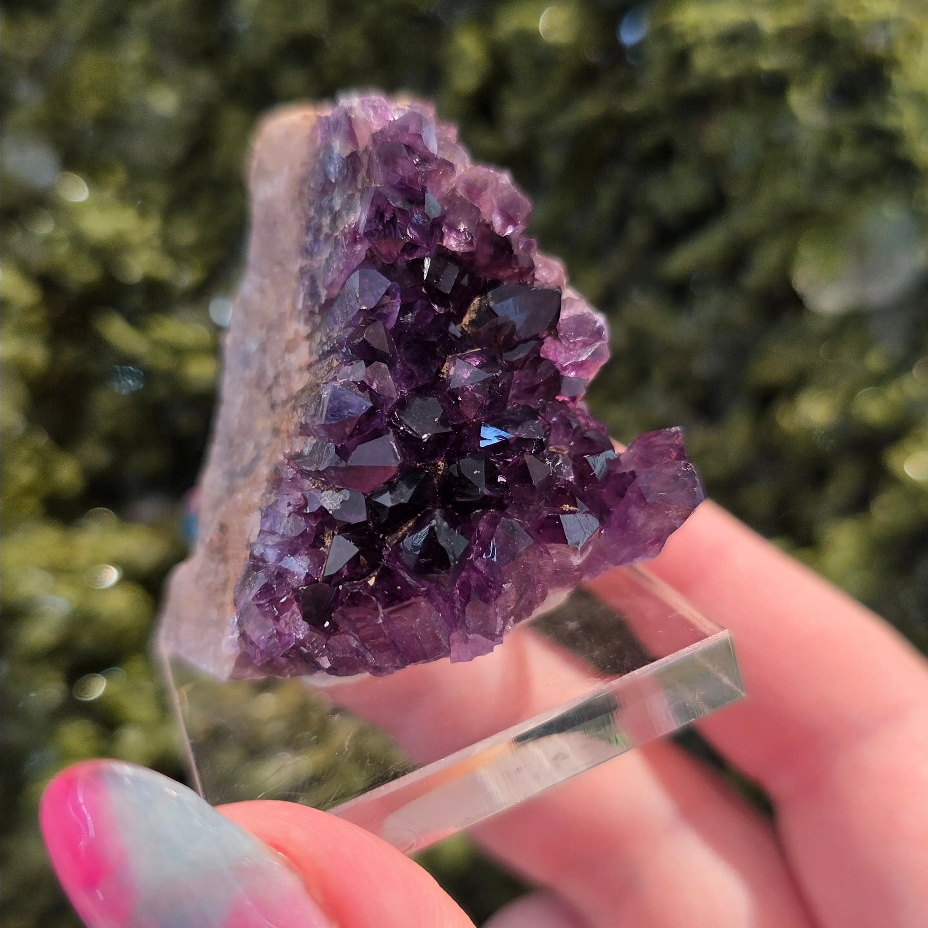 Product image for Dark Purple Amethyst