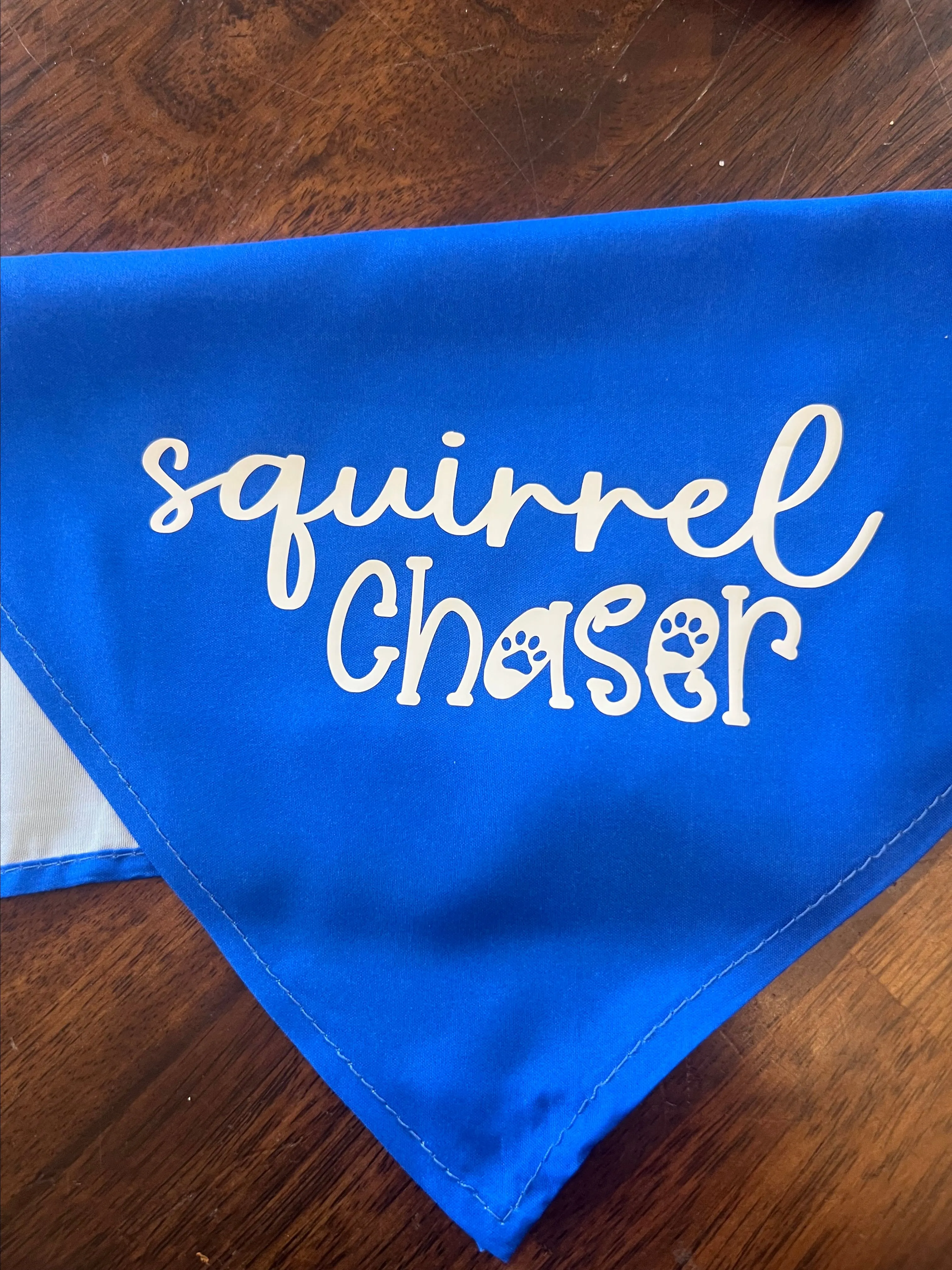 Product image for Squirrel Chaser 