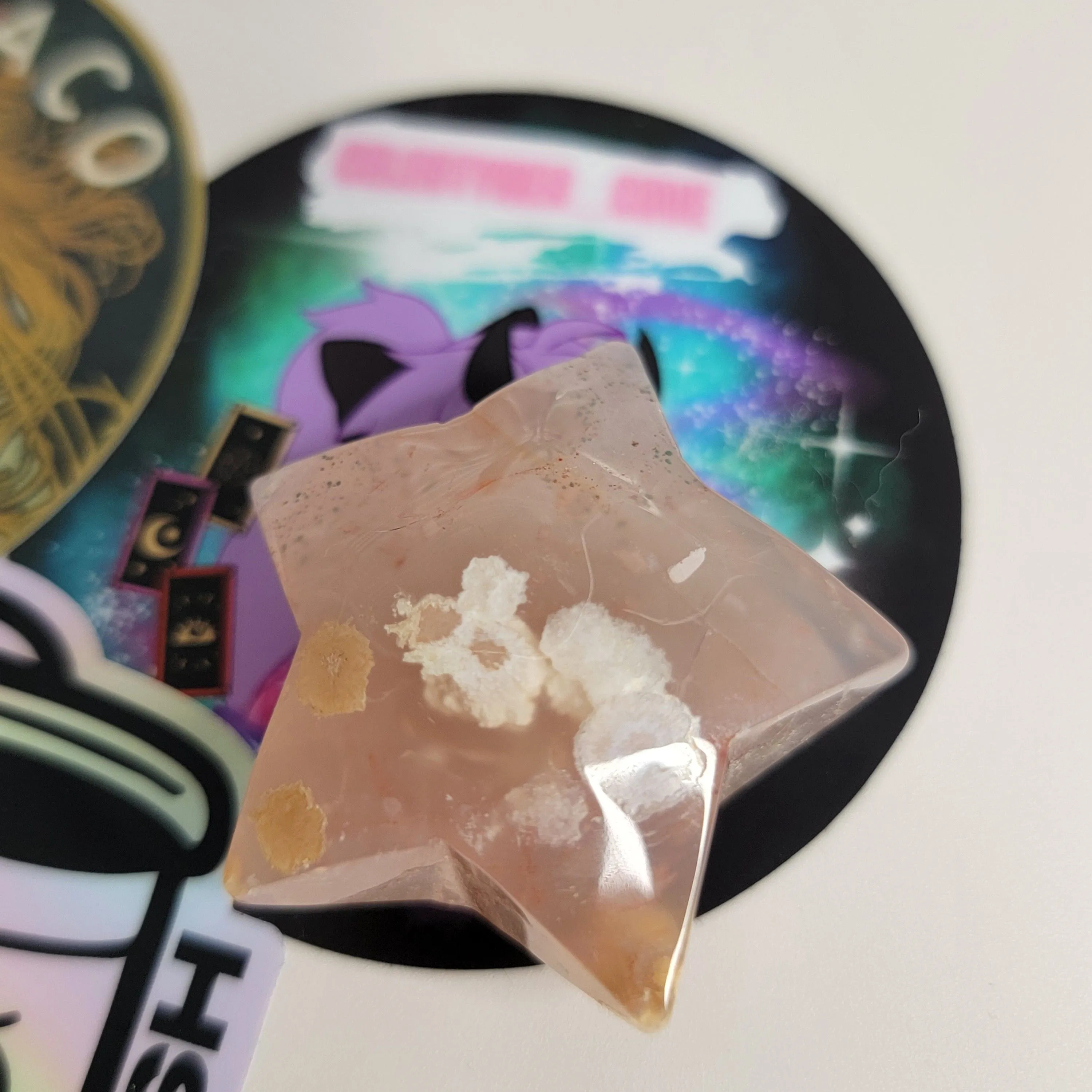 Product image for Puffy star flower
