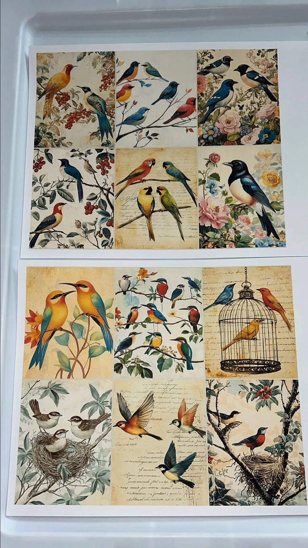 Product image for Bird Pet Printable #1