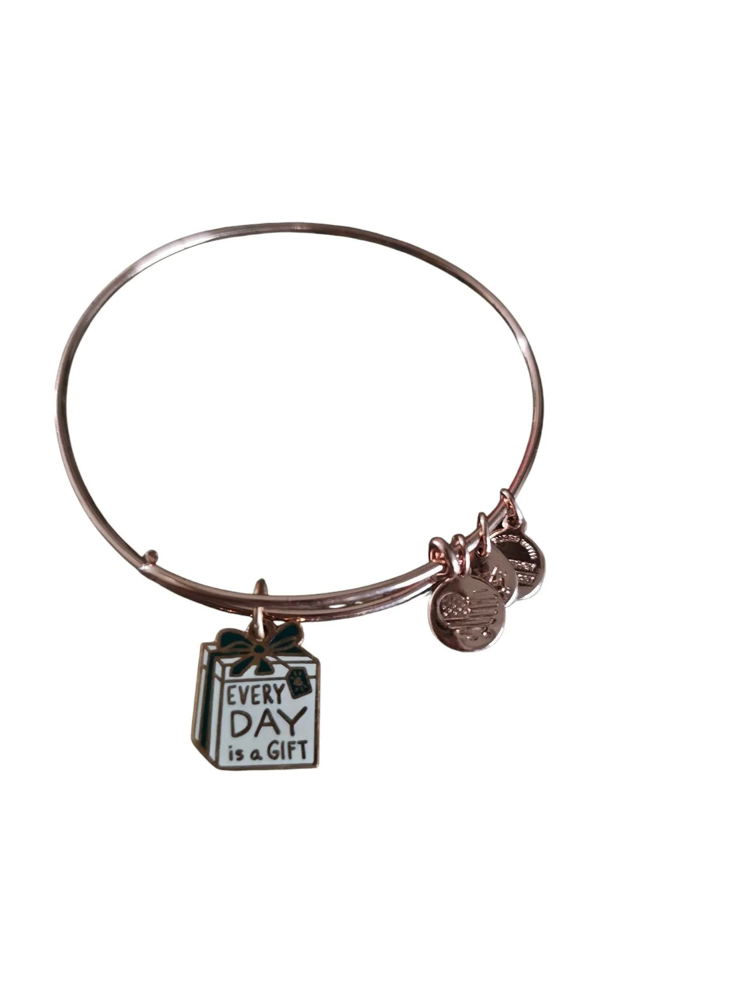 Product image for #10 - Alex and Ani "Every Day Is A Gift" Charm Bracelet