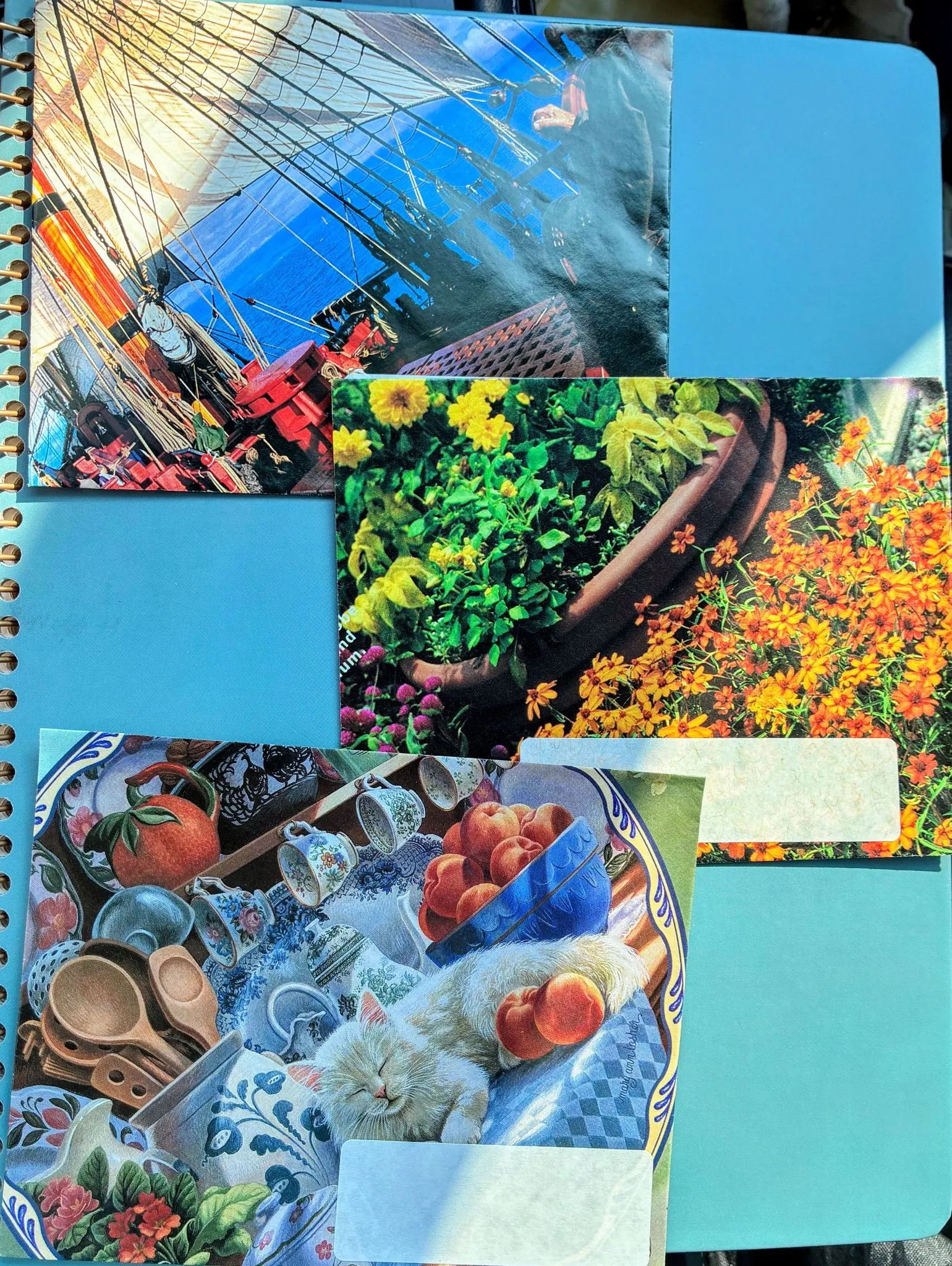 877bdaab-bec1-45d7-8515-8d746d3d2fd2