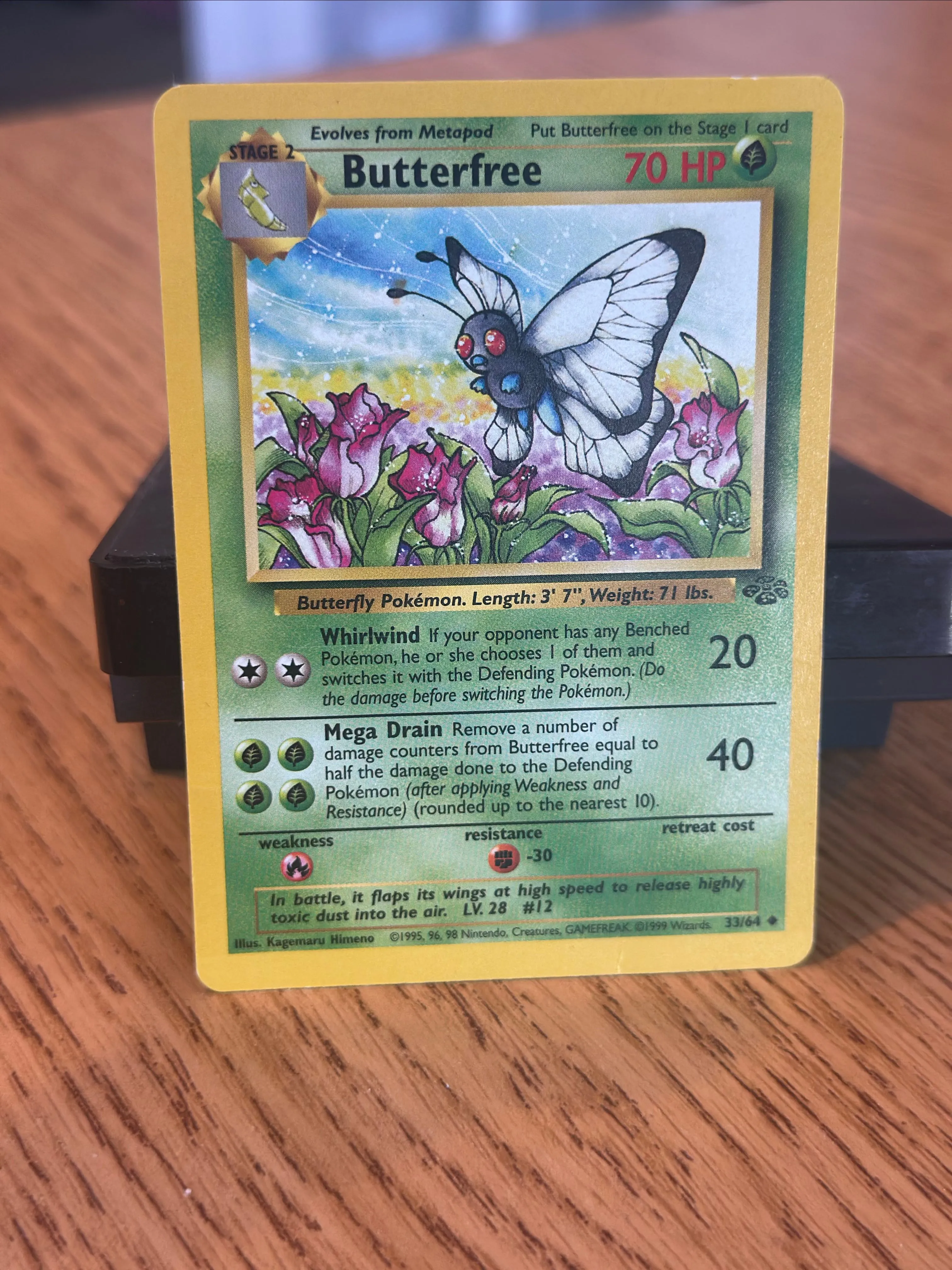 Product image for Jungle set butterfree