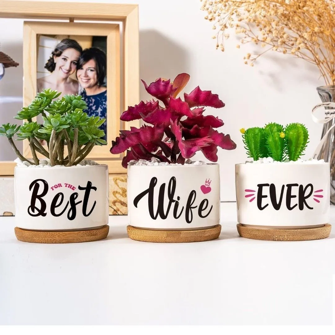 Product image for Valentine Day Gifts for Wife, Birthday Gifts for Wife, Best Succulent Pots for Plants Birthday Gifts