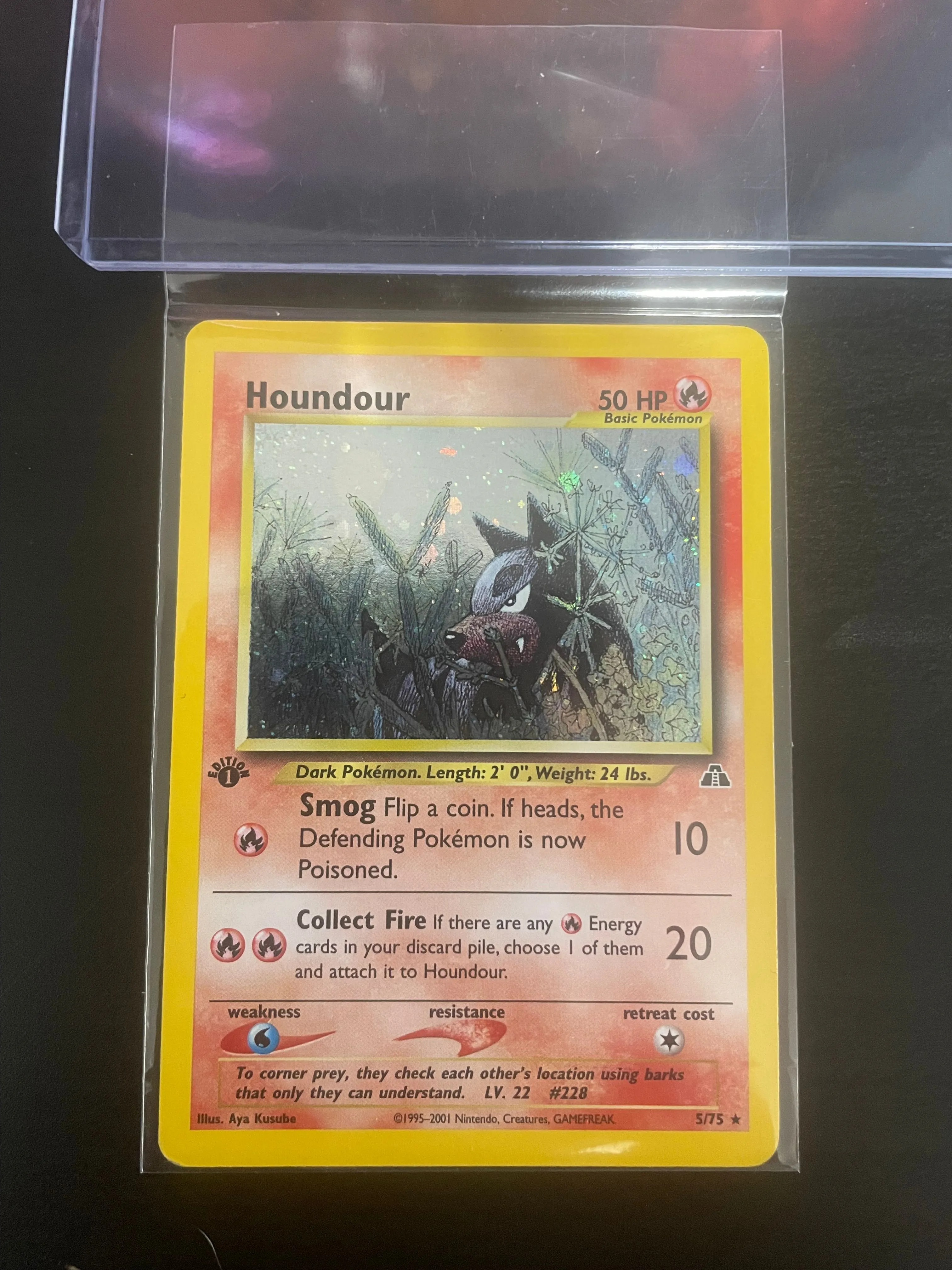 Product image for 1st Edition Houndour Holographic