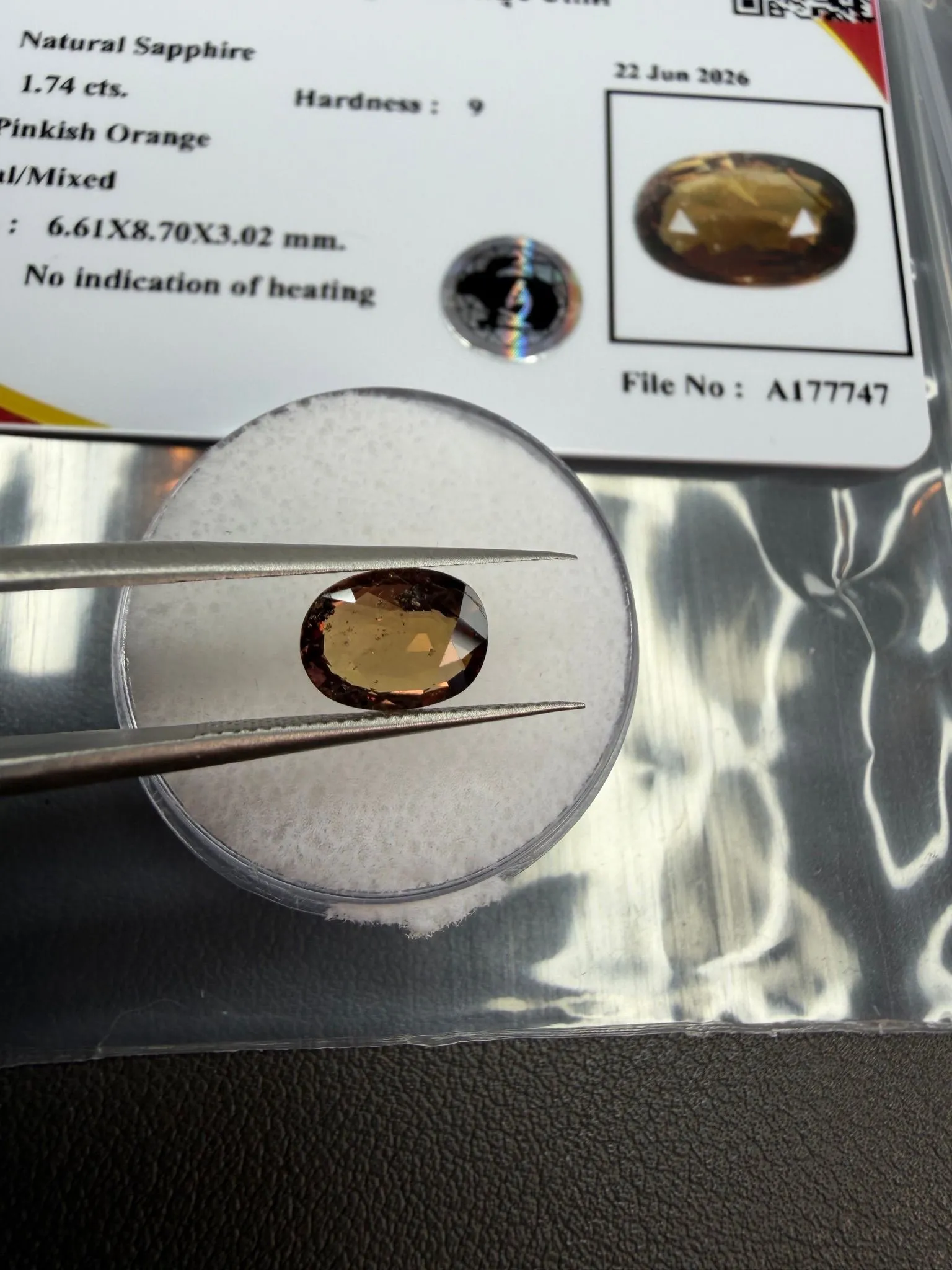 885a7a2a-be4f-41f8-bead-4ca24f9b41f6