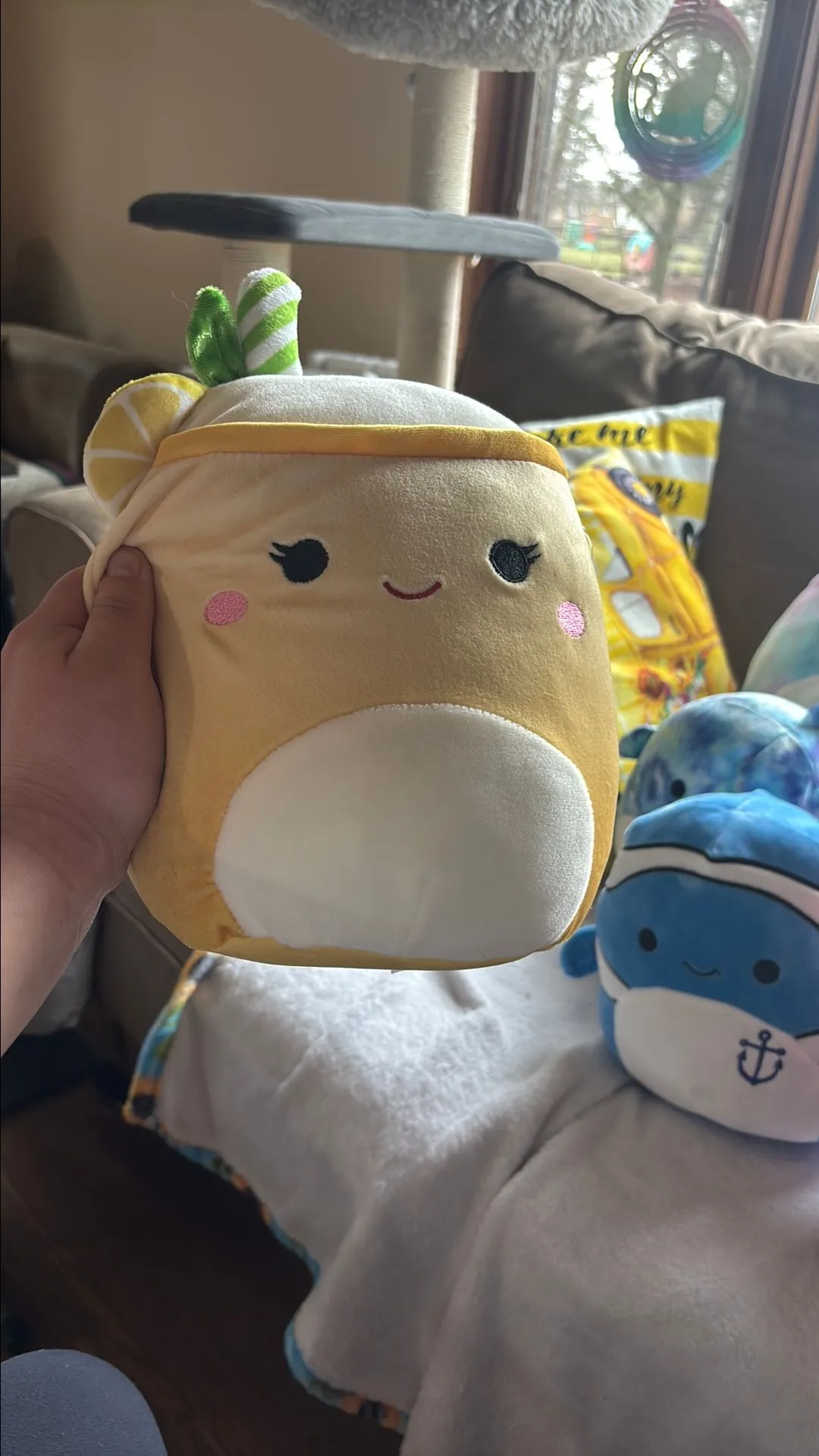 Product image for Lemonade squish