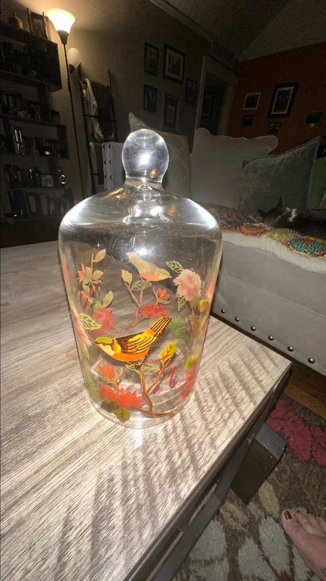 Product image for Vintage Floral Bird Glass Cloche