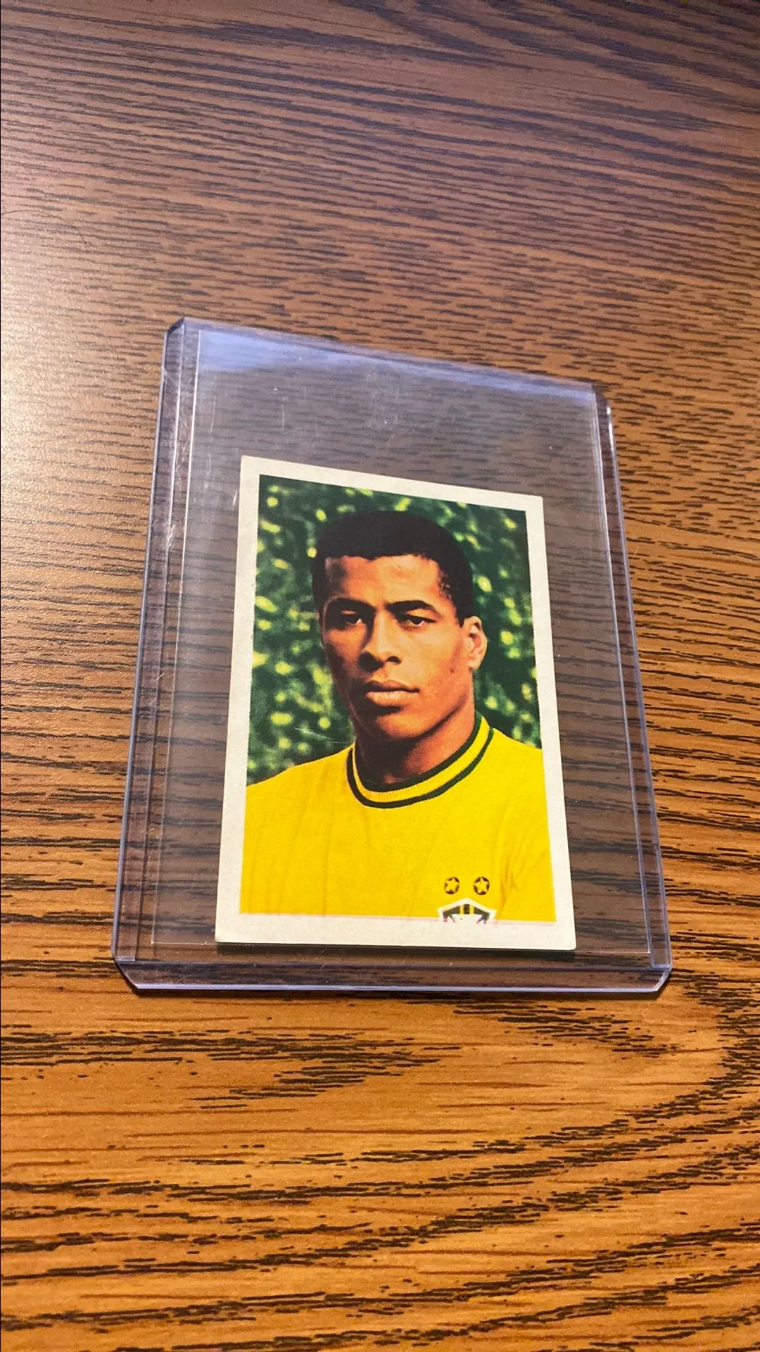Product image for Jairzinho 1974 World Cup Brazil FHER Editorial