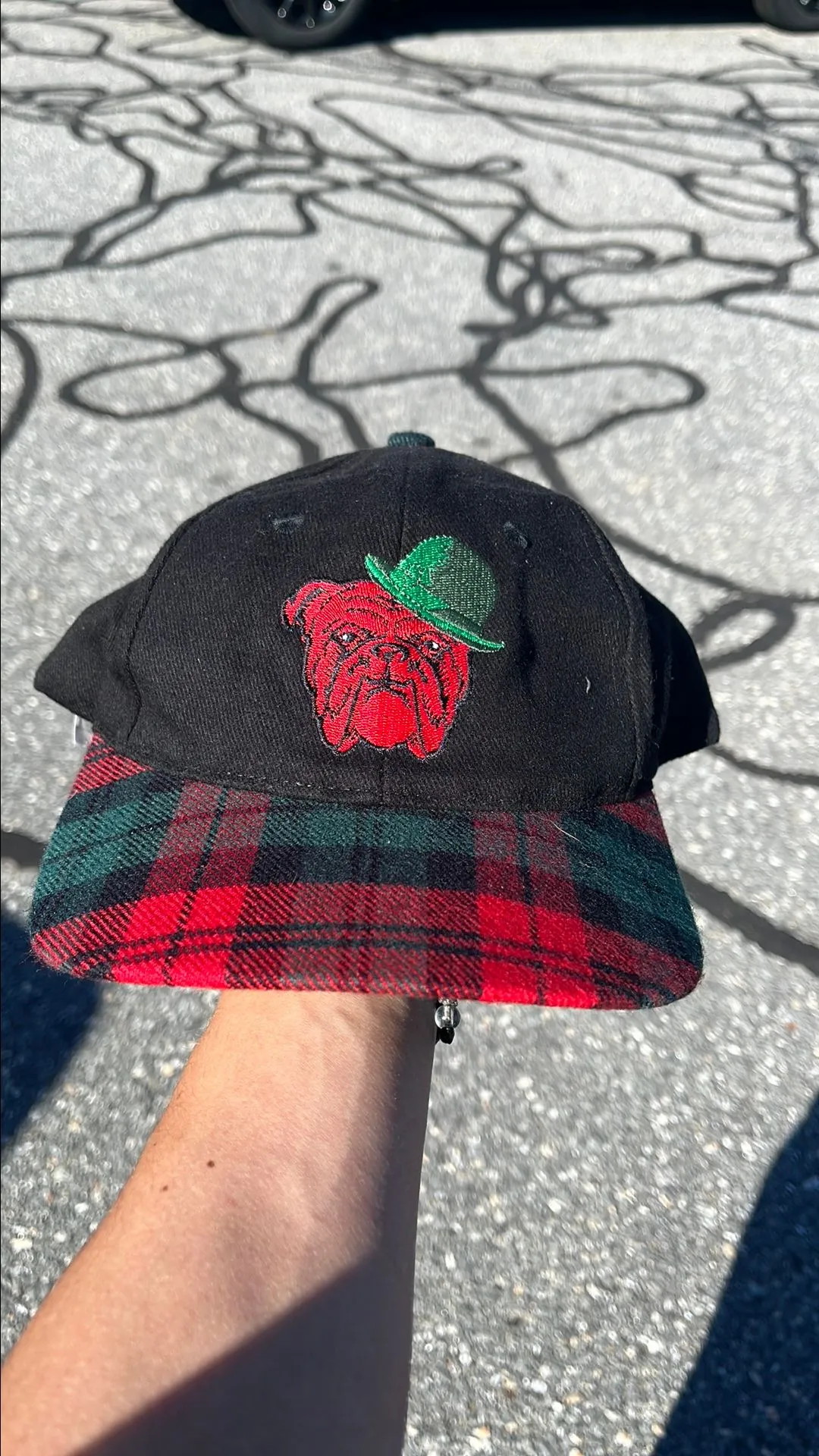 Product image for Erin Go Red Dog Hat