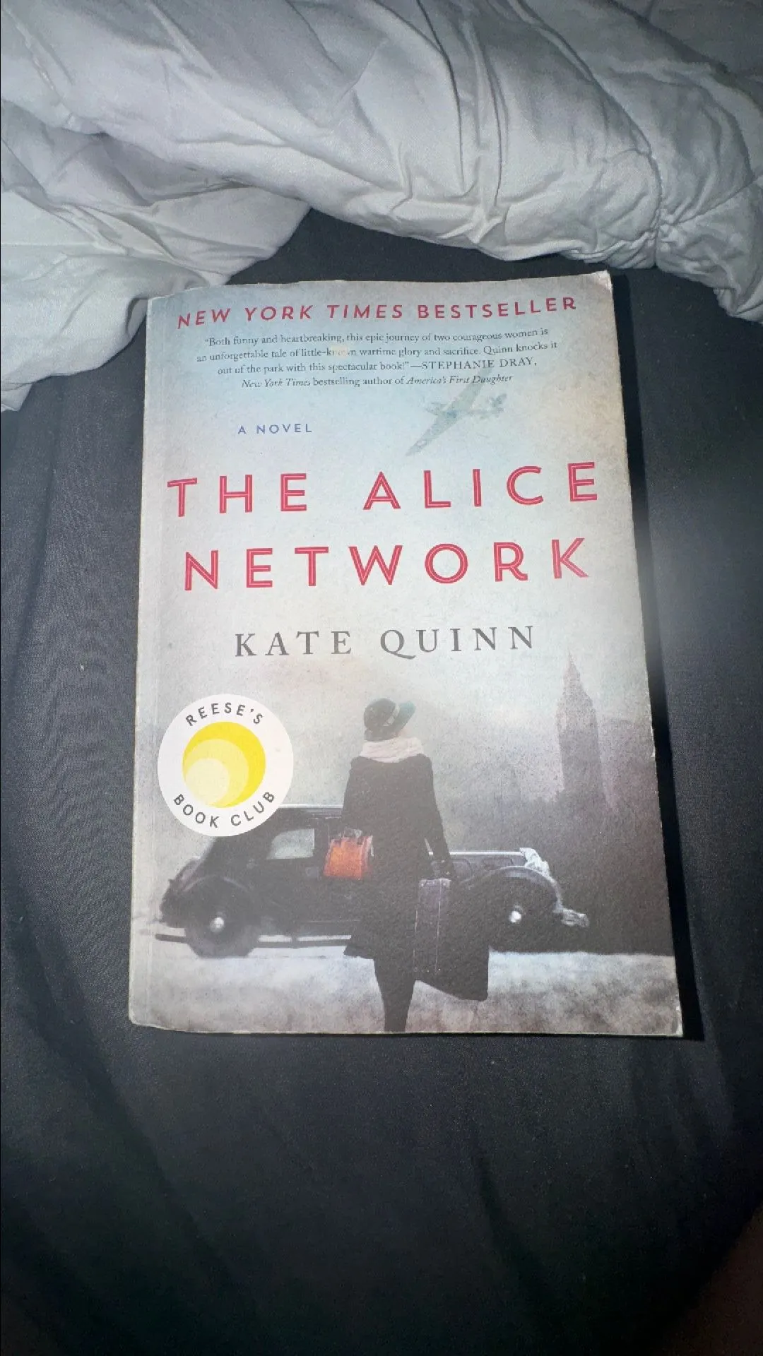 Product image for The Alice network