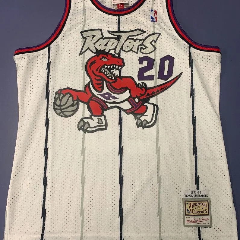 Product image for Damion Stoudamire Raptors Jersey.