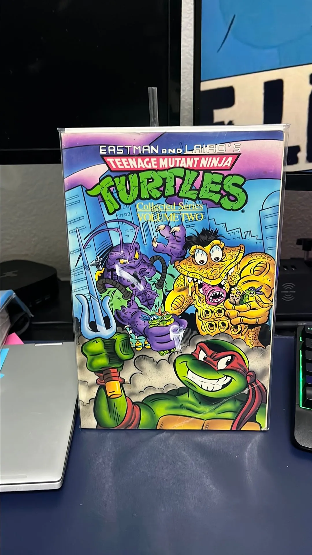 Product image for Teenage Mutant Ninja Turtles Adventures Collected Series Volume 2