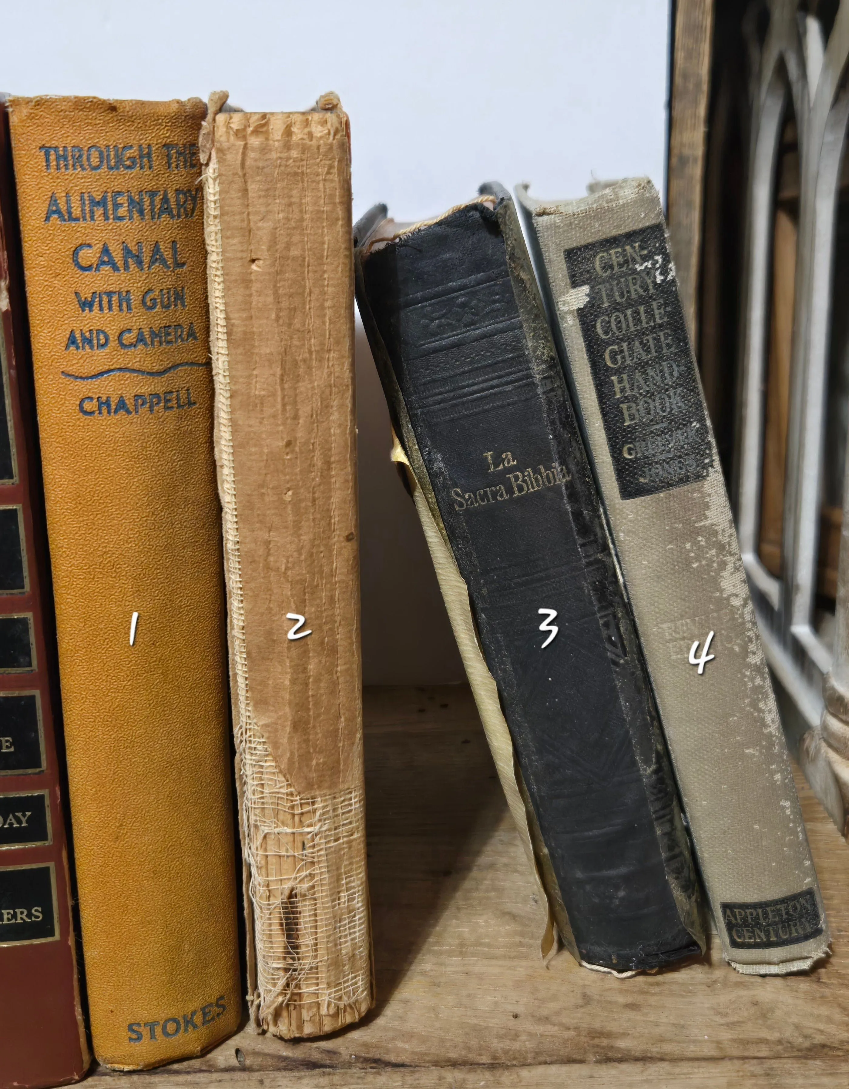 8a4bf882-e769-4da8-b113-195810f0334b